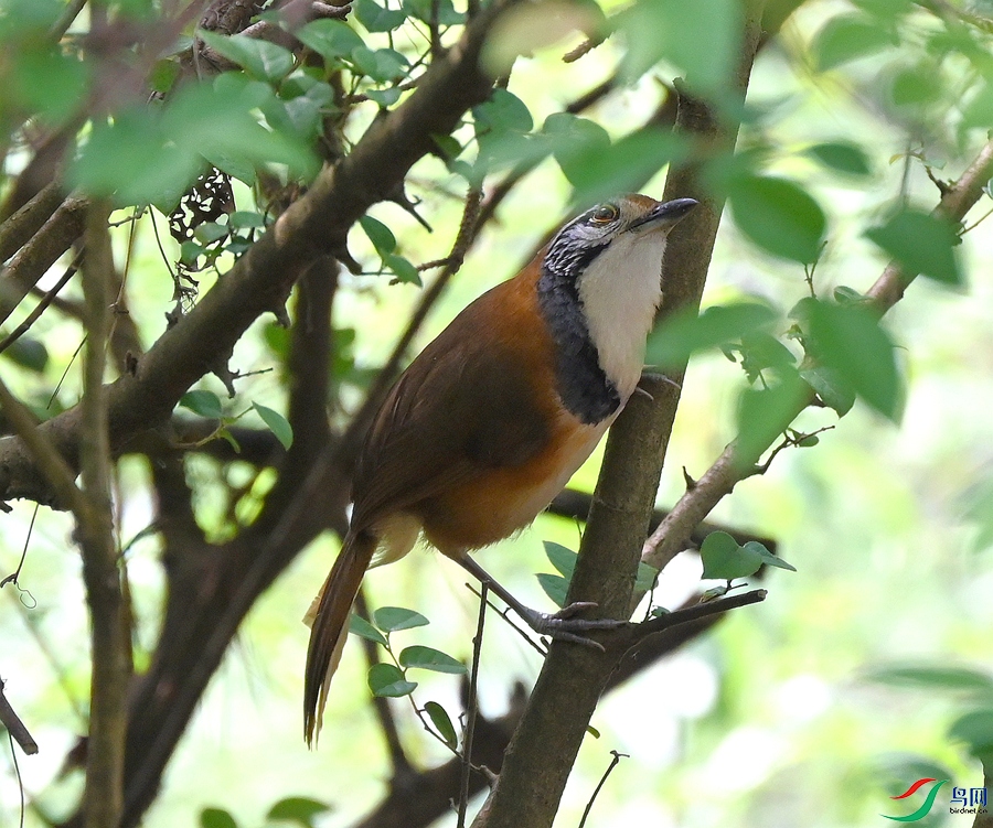 DSC_7625.JPG