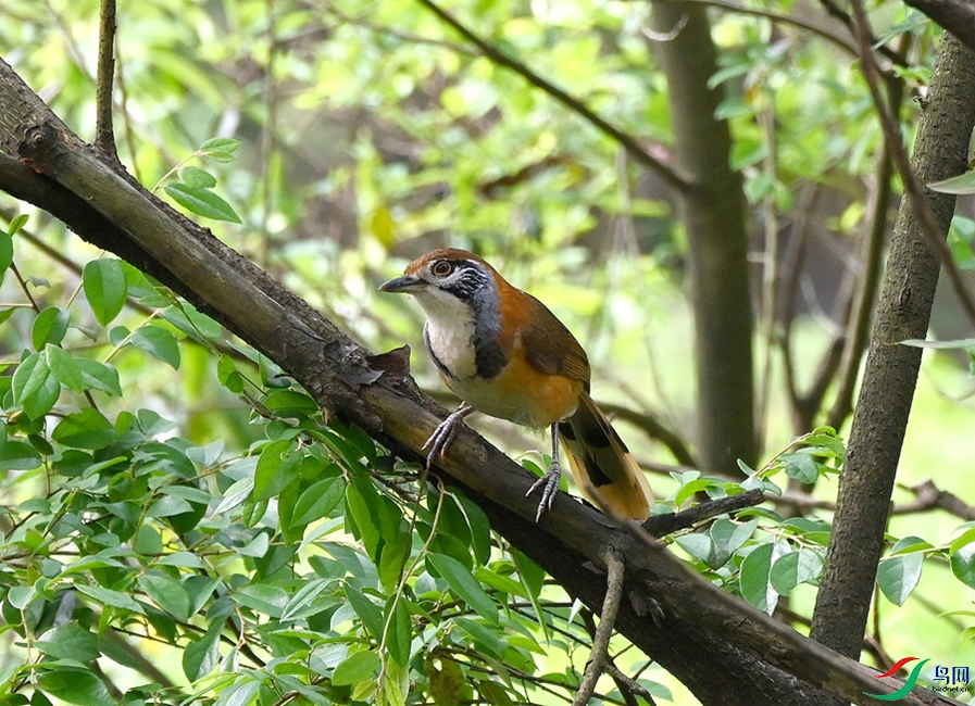 DSC_7616.JPG