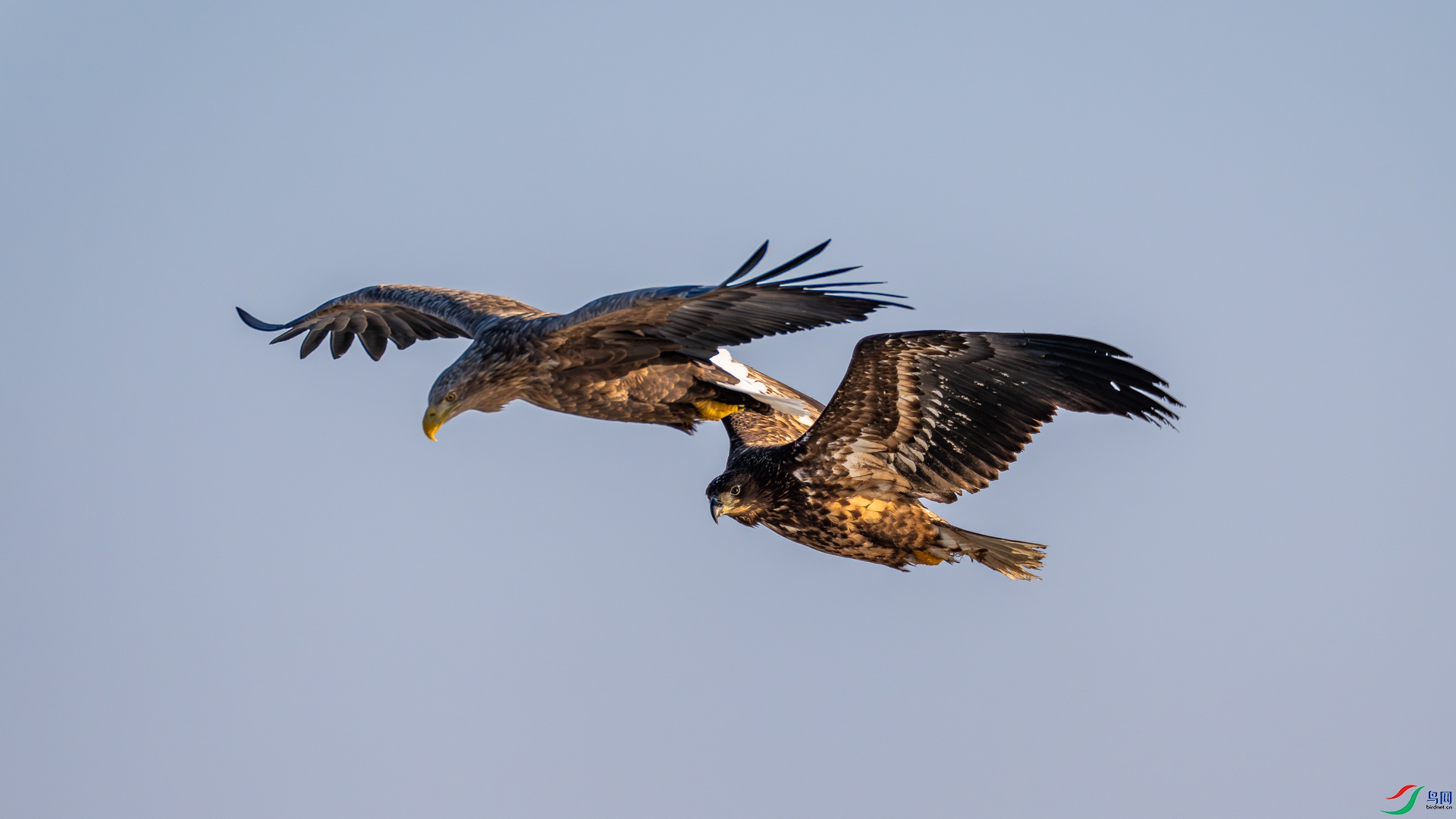 _DSC6559.jpg