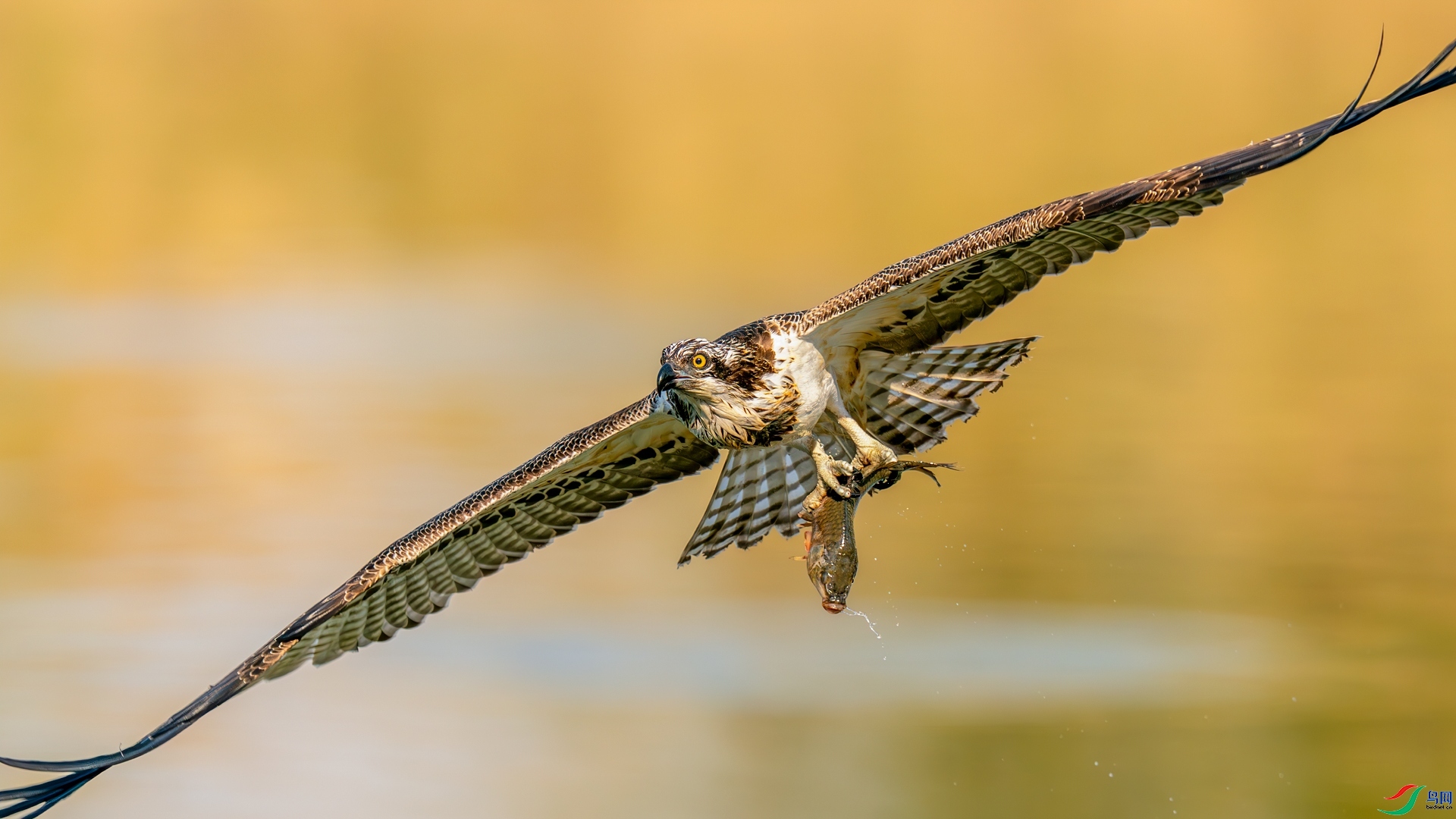 3.25����������ʦ��Ʒ  ����֮����ף����Ʒ�ٻ����������.jpg