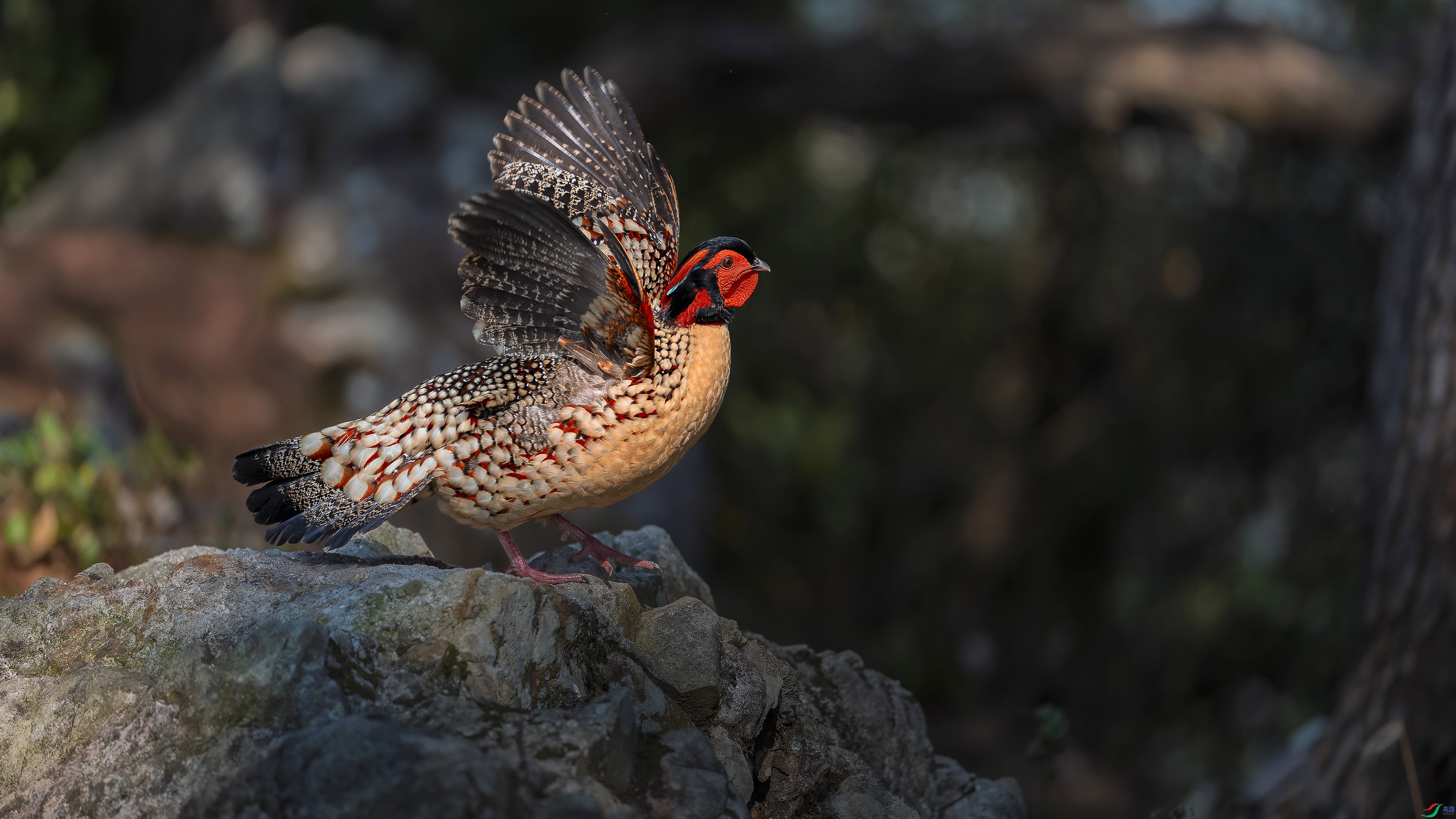 3.26������ʦ��Ʒ  ��չ�����ɡ���ף���ٻ���Ӱʦ������.jpg