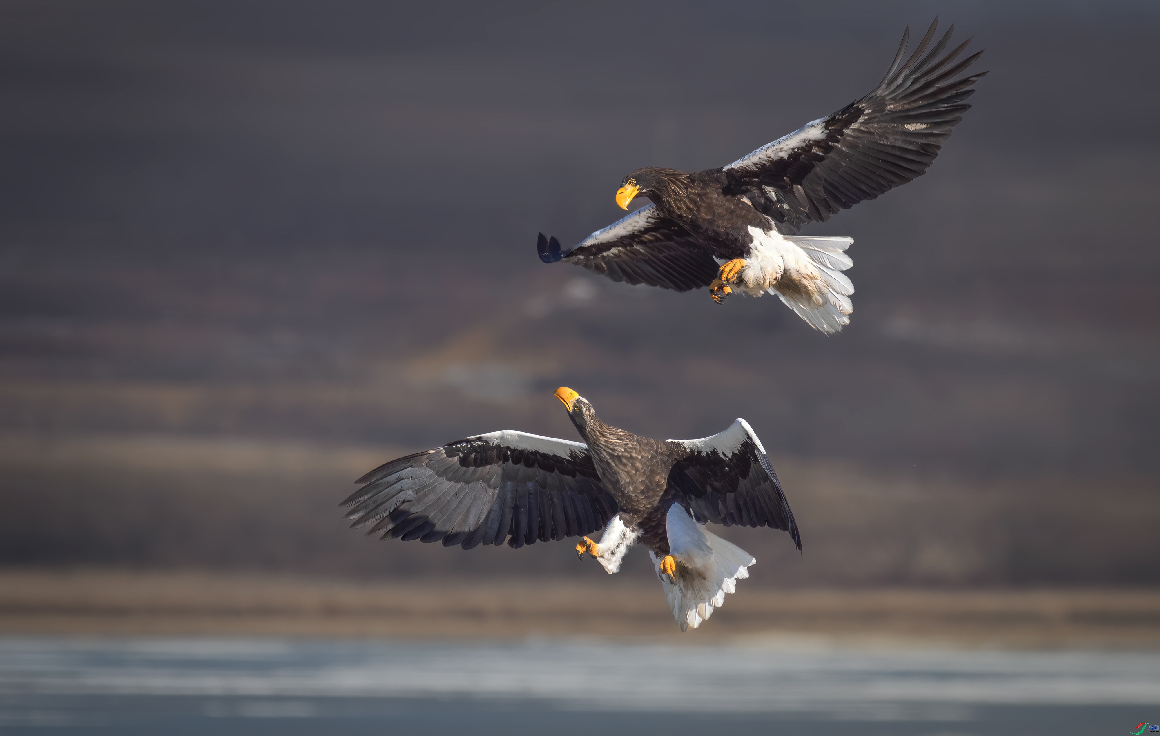 3.28춼ͷ���ʦ��Ʒ   ������ϰ ��ף���ٻ����������.jpg