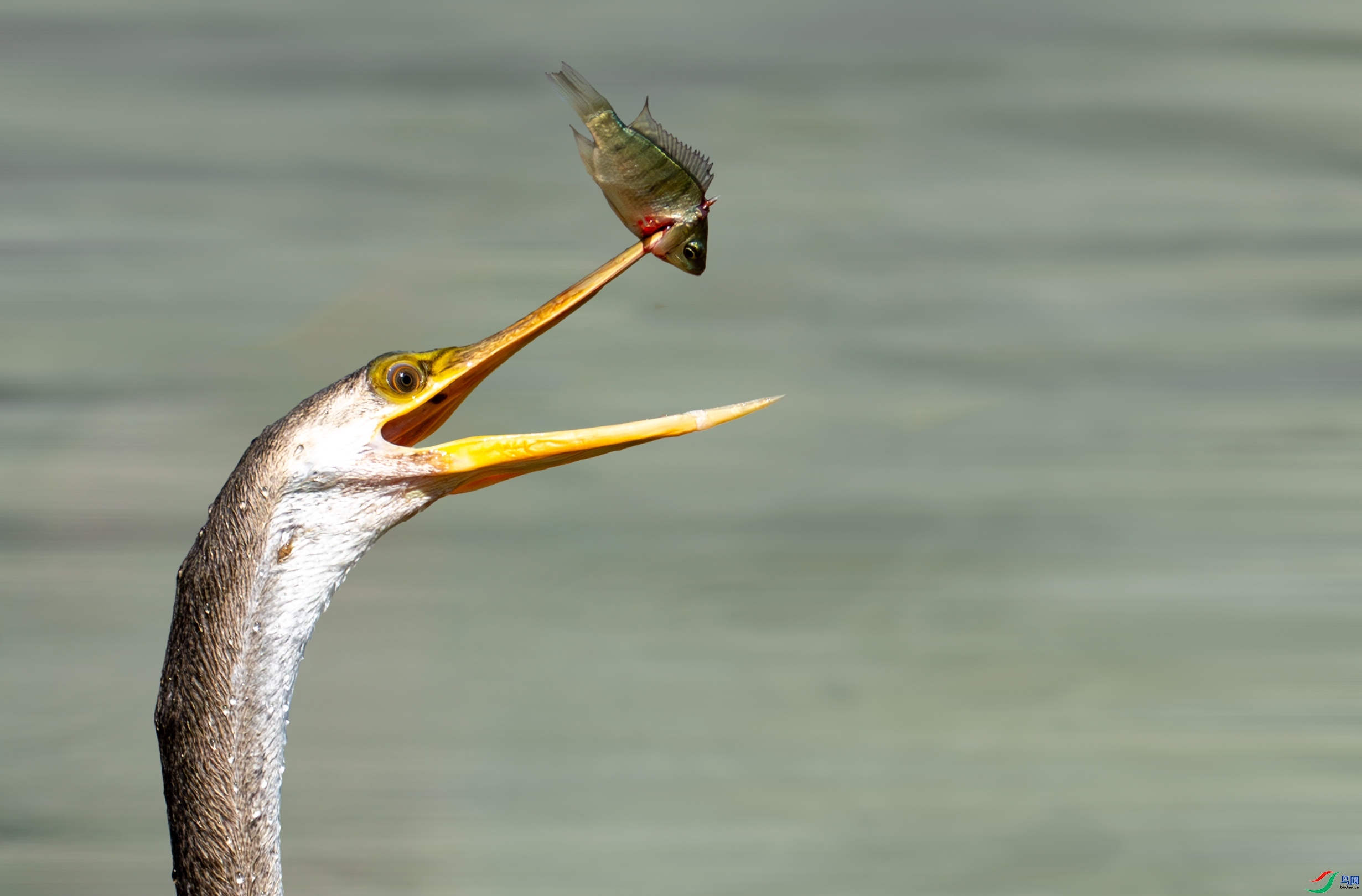 4.1��Ϳ�ֺ�Ϳ��ʦ��Ʒ   һ������ ��ף���ٻ���Ӱʦ������.jpg