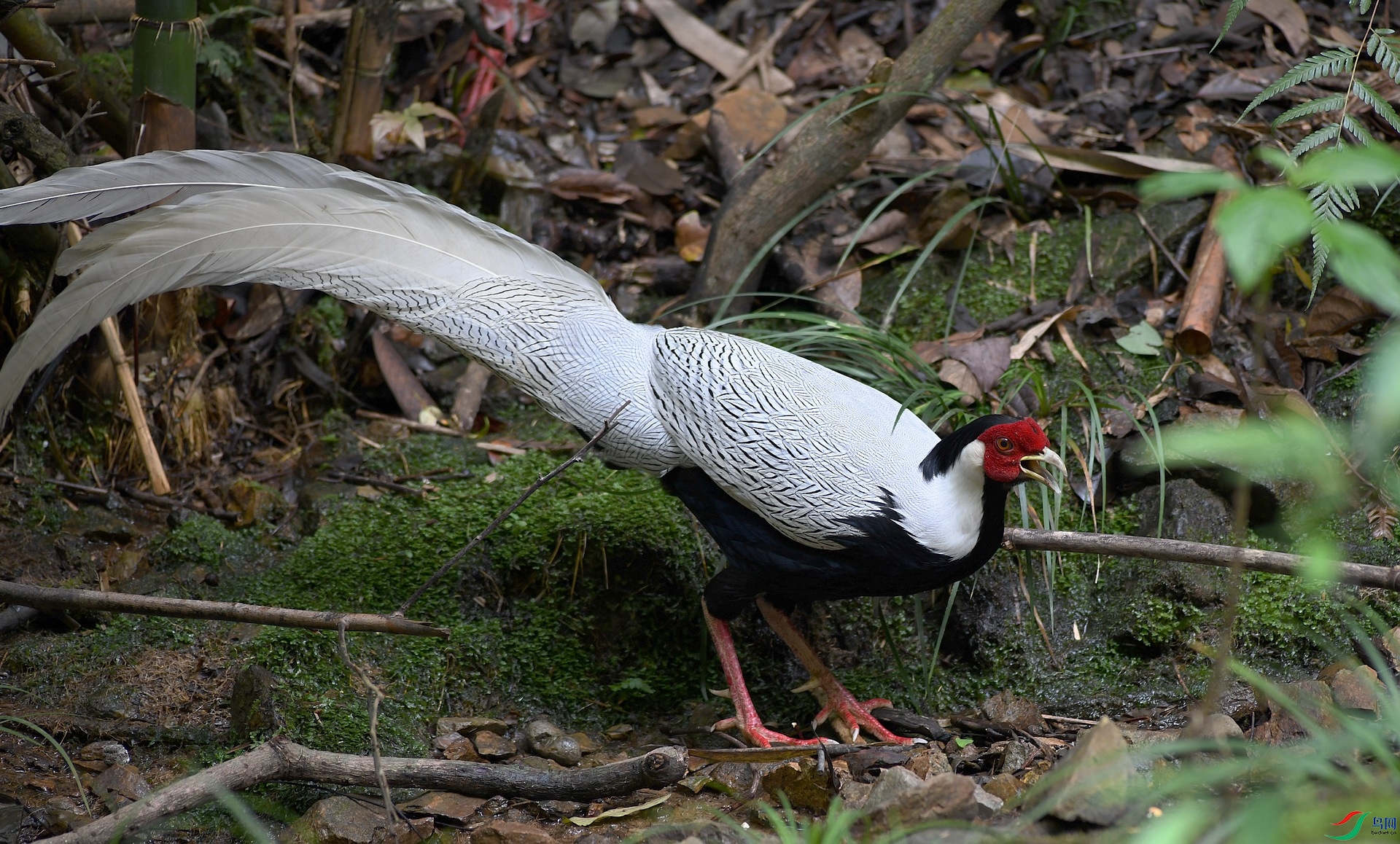 DSC_0319.jpg