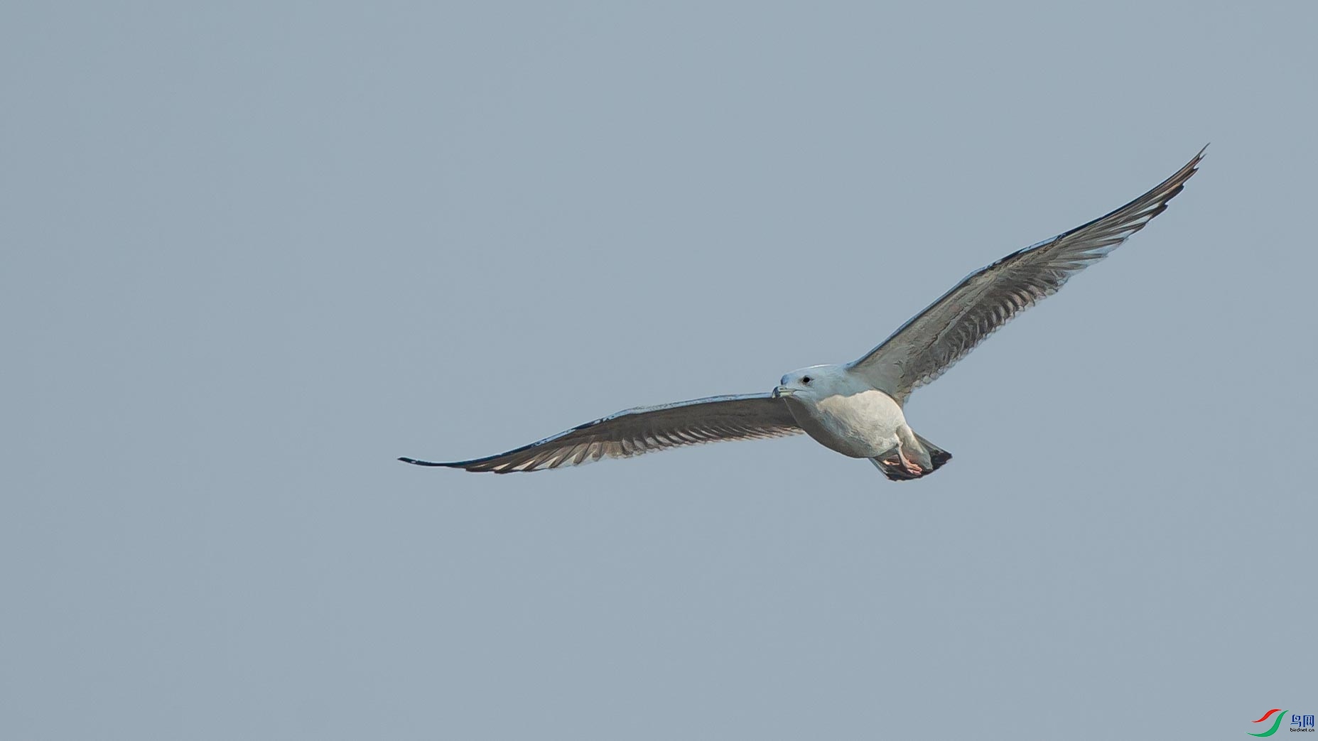 AQ4P7653.JPG