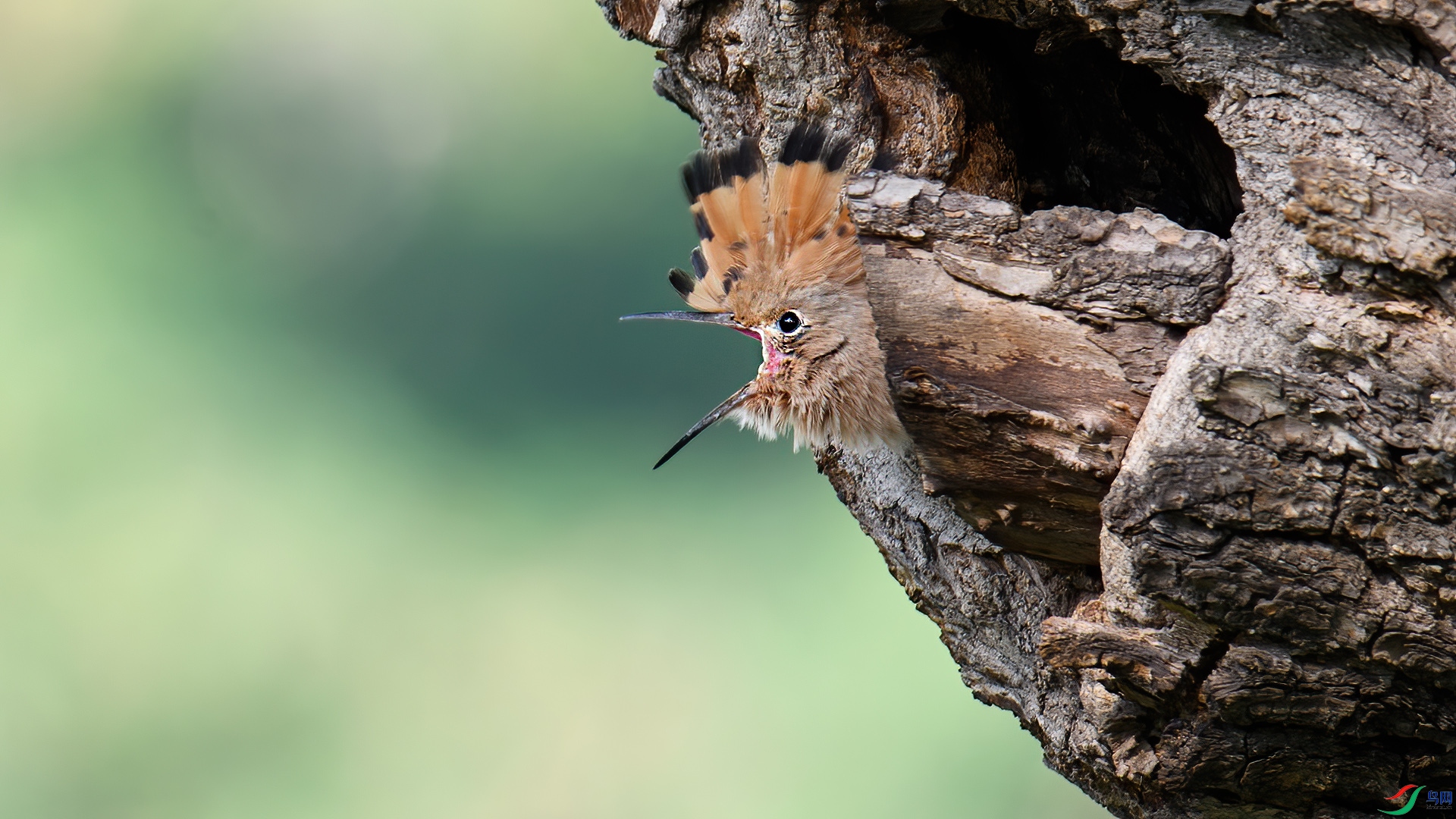 DSC_5170-20250530��.jpg