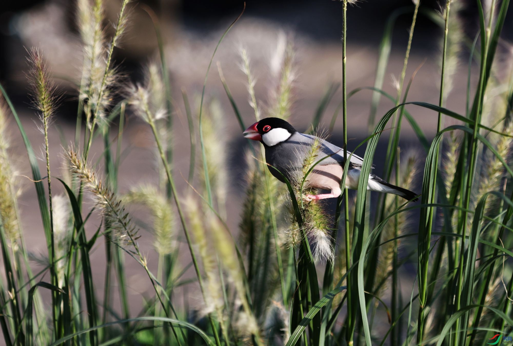 צ�ۺ�ȸ (3).JPG