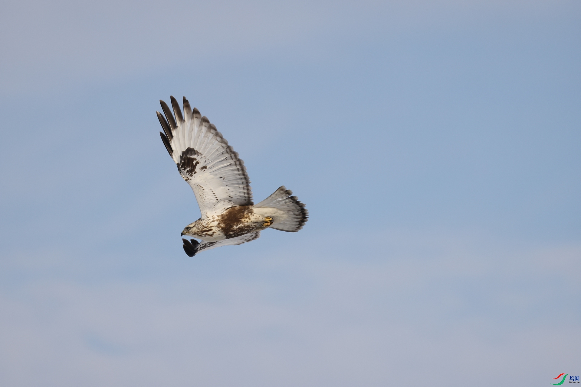 3Q6A6955.JPG