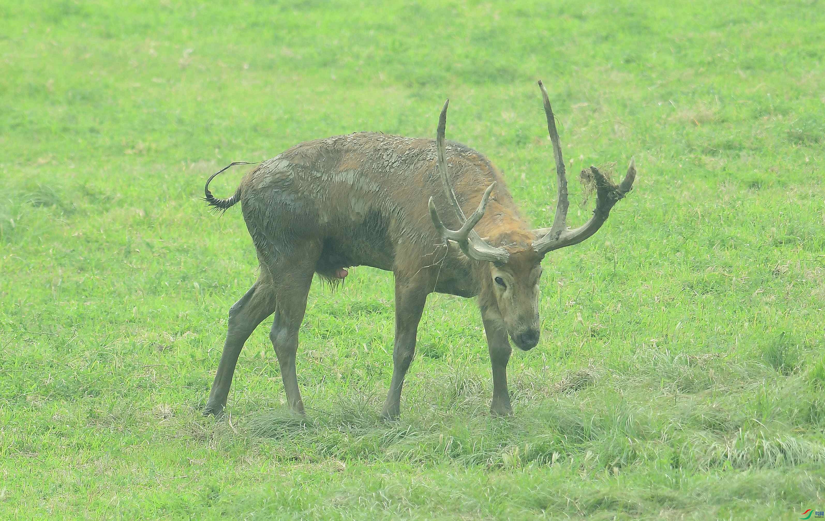 DSC_2403.JPG