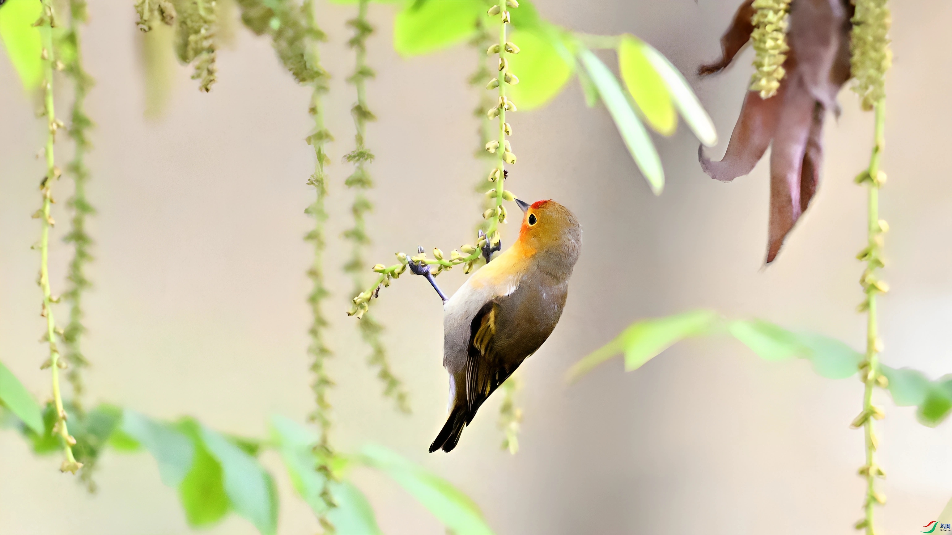 FQP_6562����_.jpg