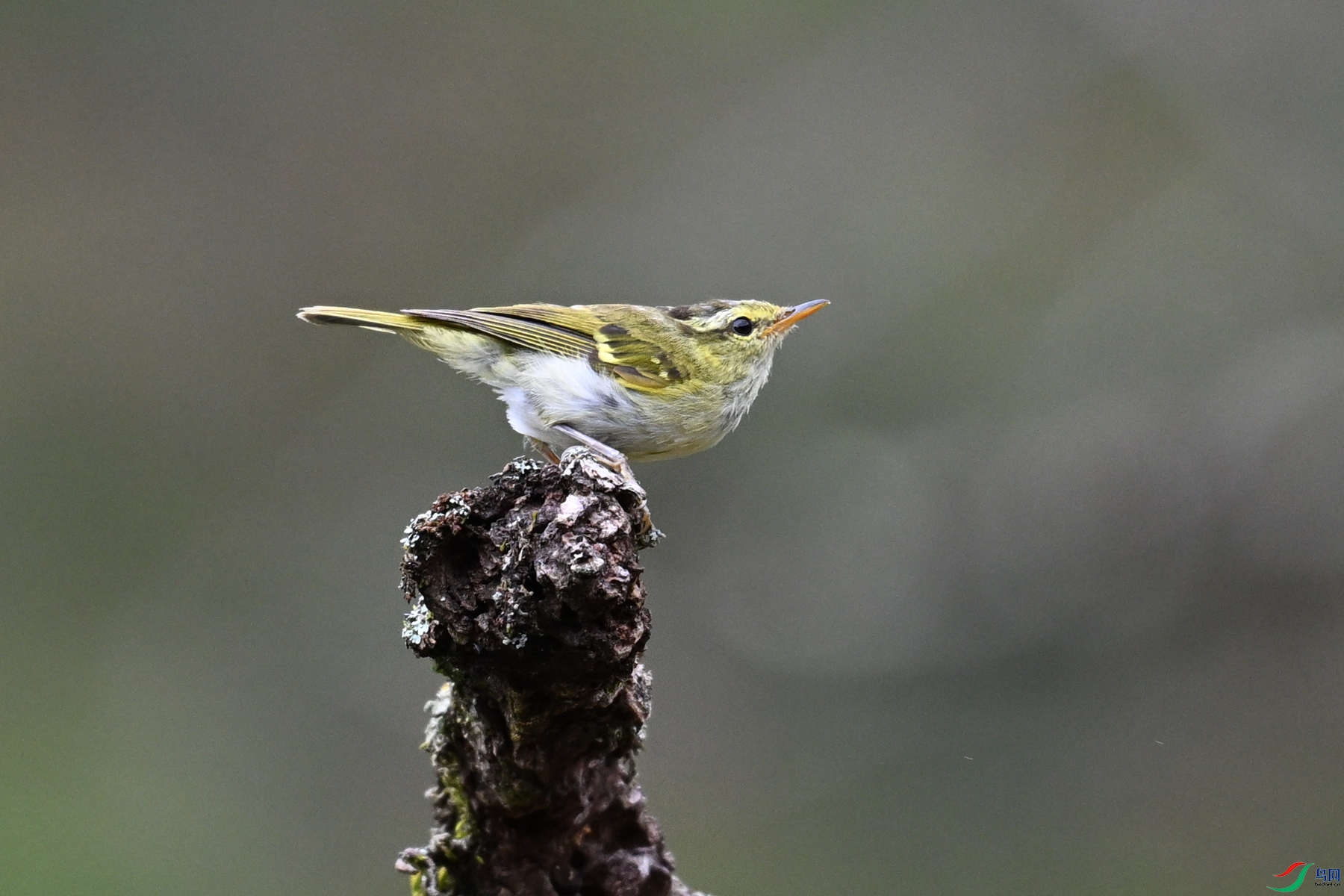 DSC_3458.JPG