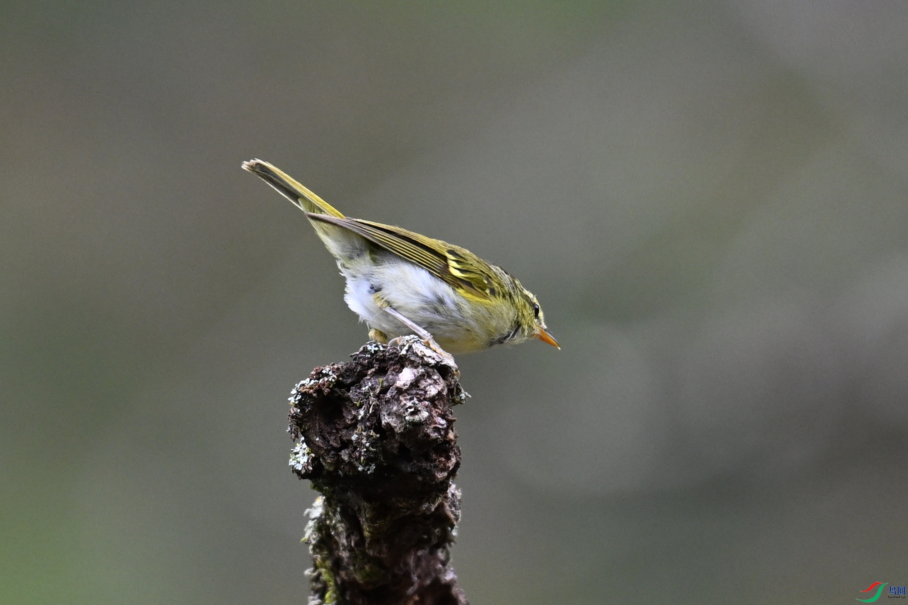 DSC_3467.JPG