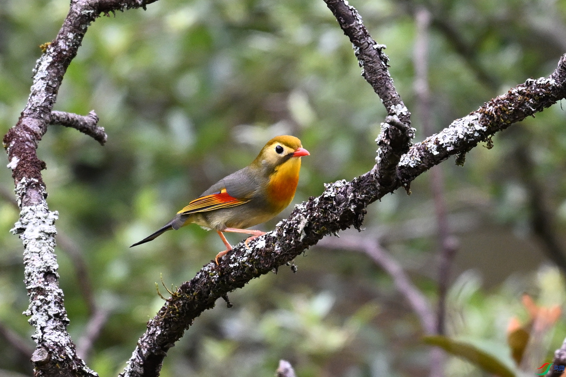 DSC_3444.JPG