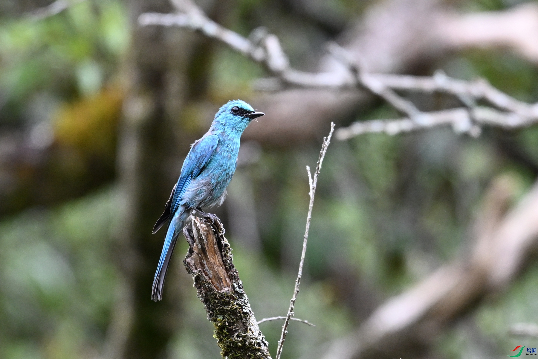 DSC_3401.JPG