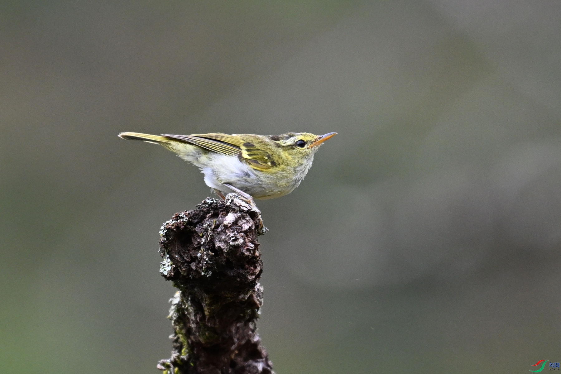 DSC_3456.JPG