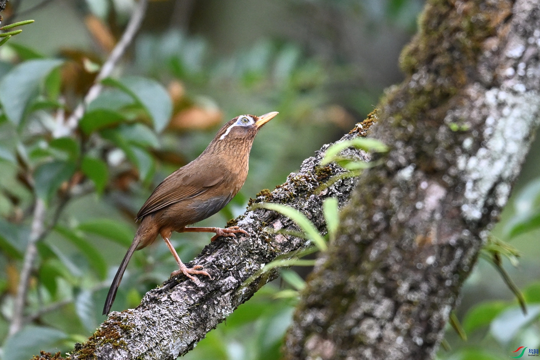 DSC_3468.JPG