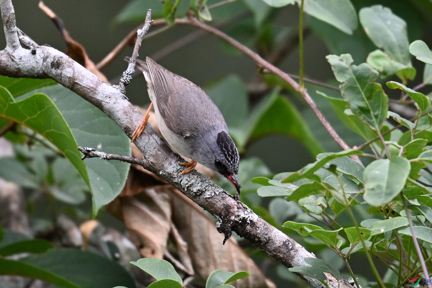 DSC_3414.JPG