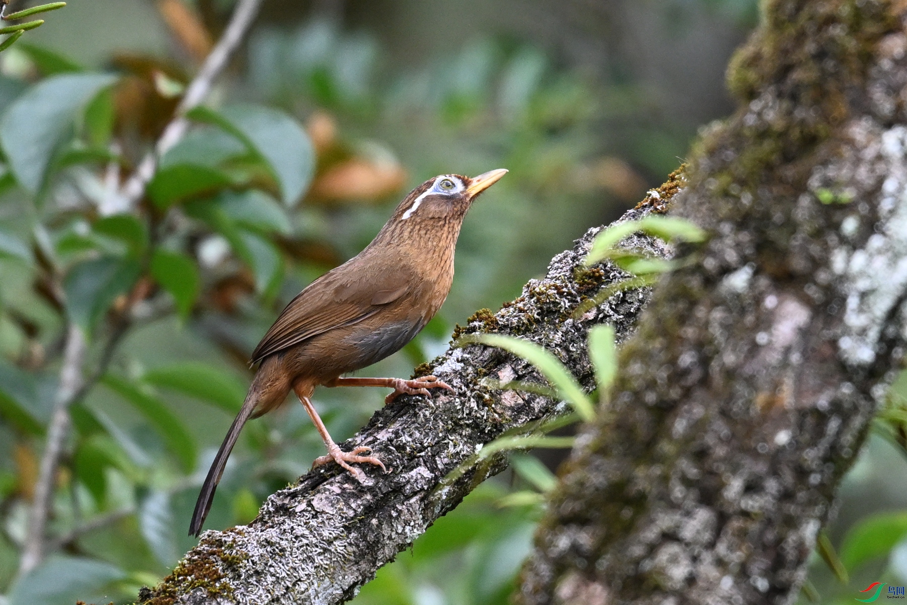 DSC_3469.JPG