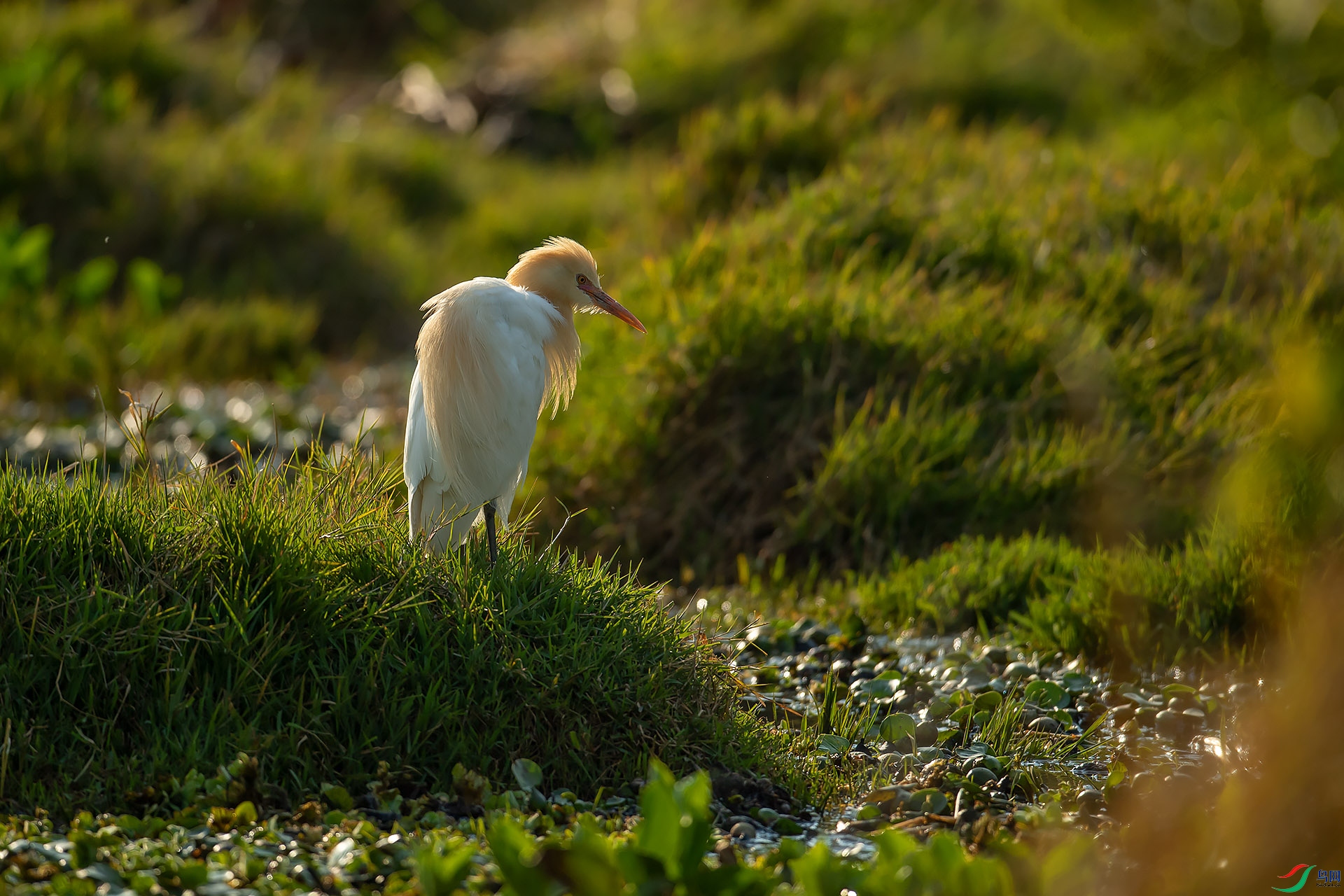 DSC_5299.jpg