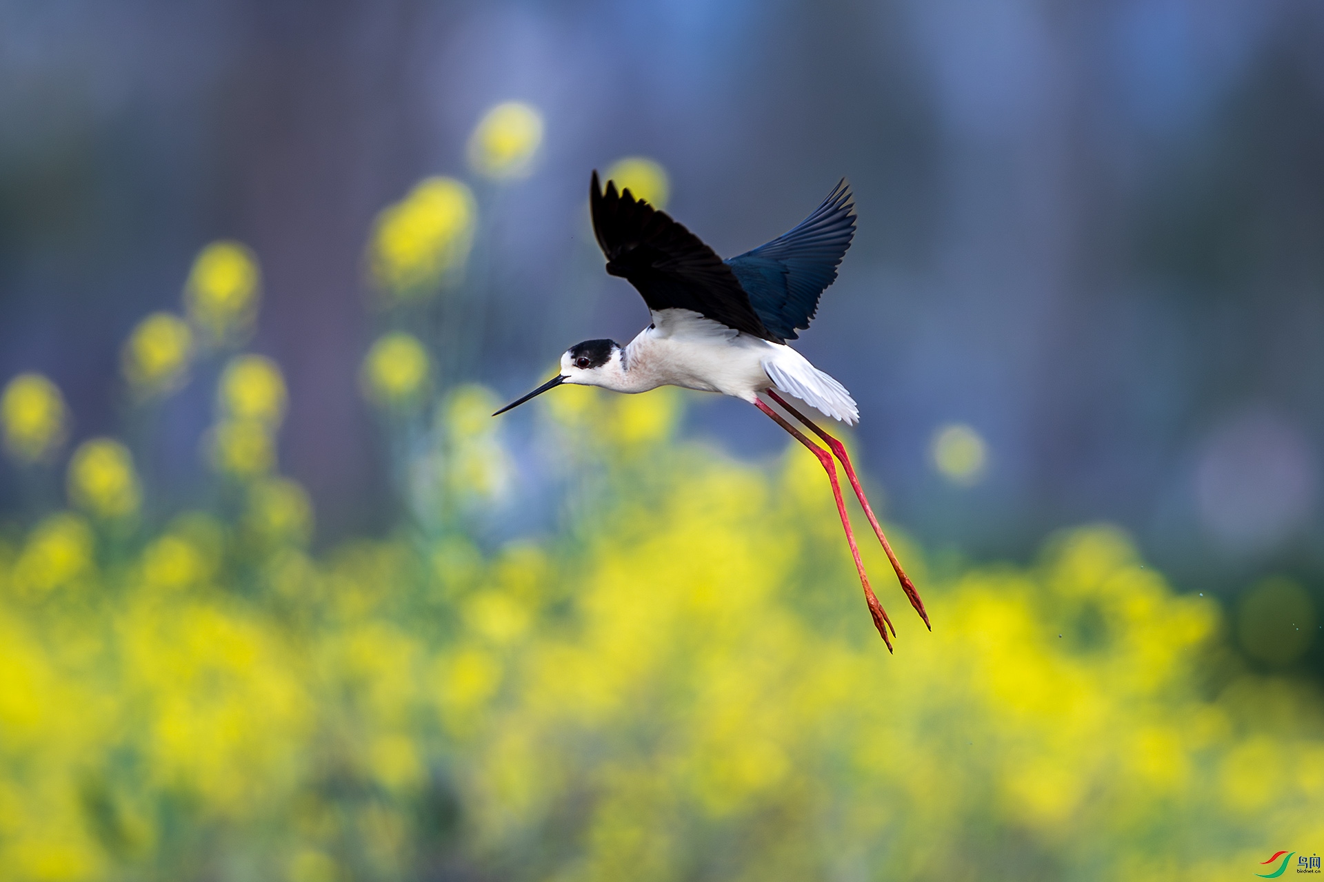 BU3I4036 ����.jpg