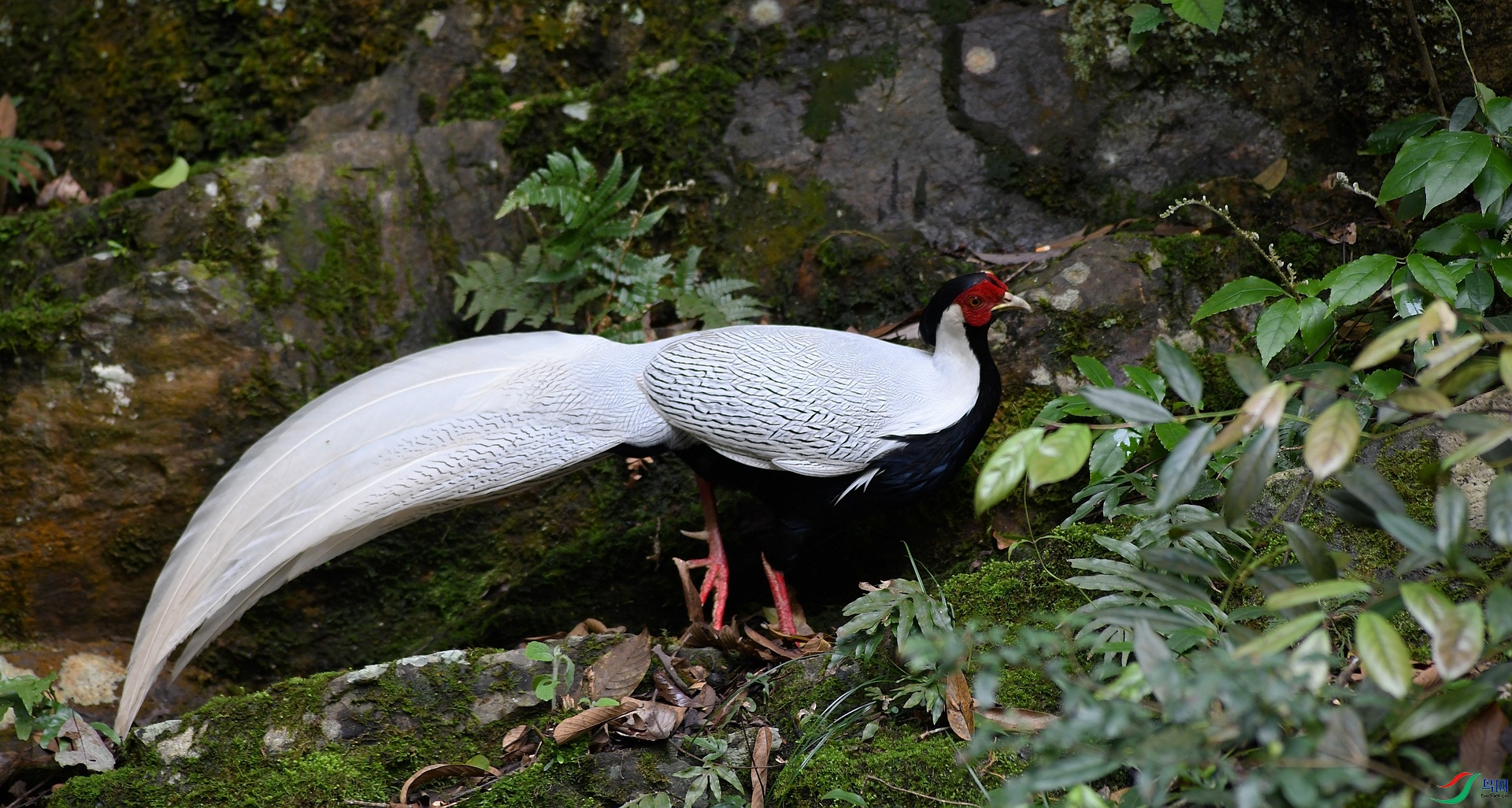 DSC_0833.jpg