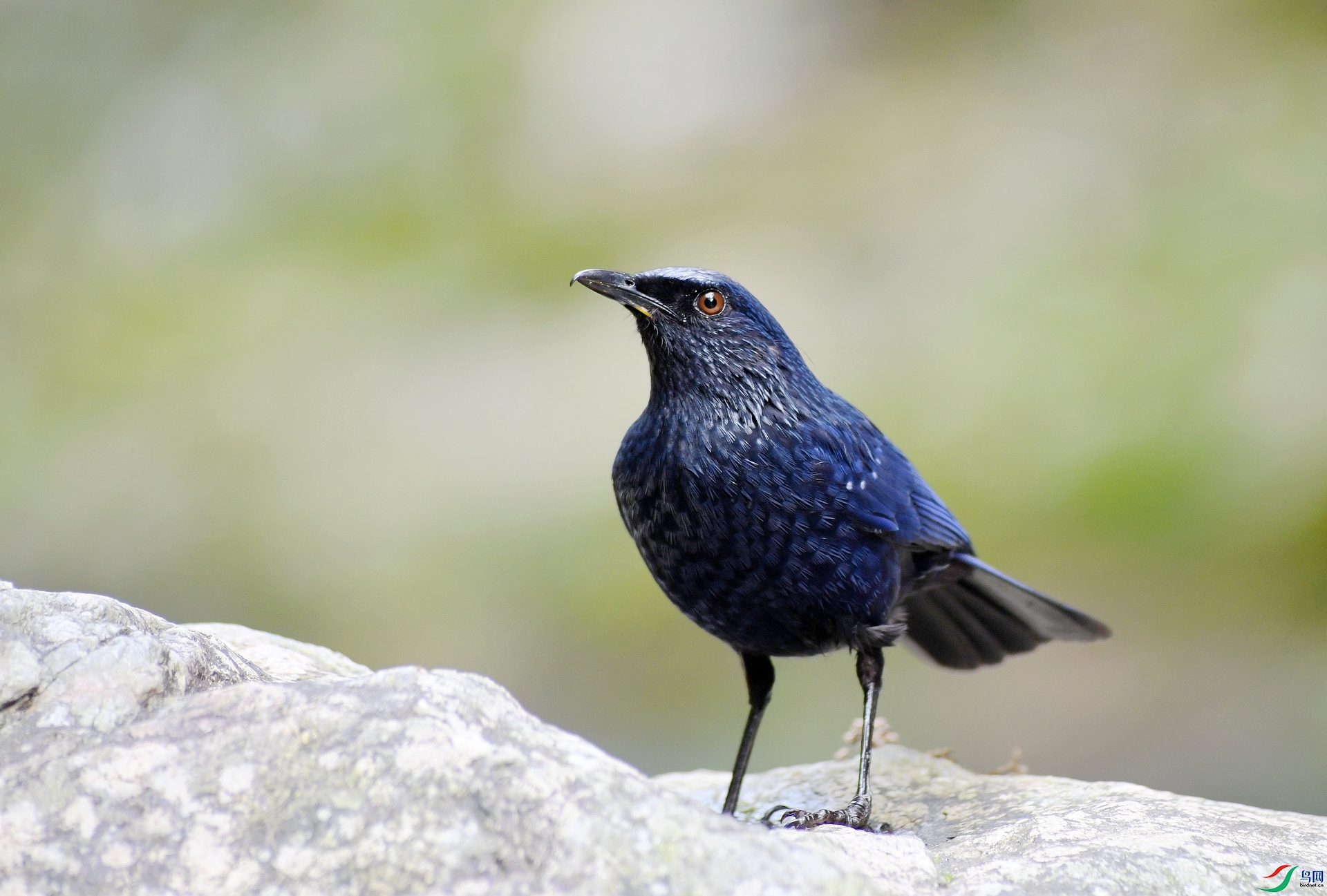 DSC_1363.jpg