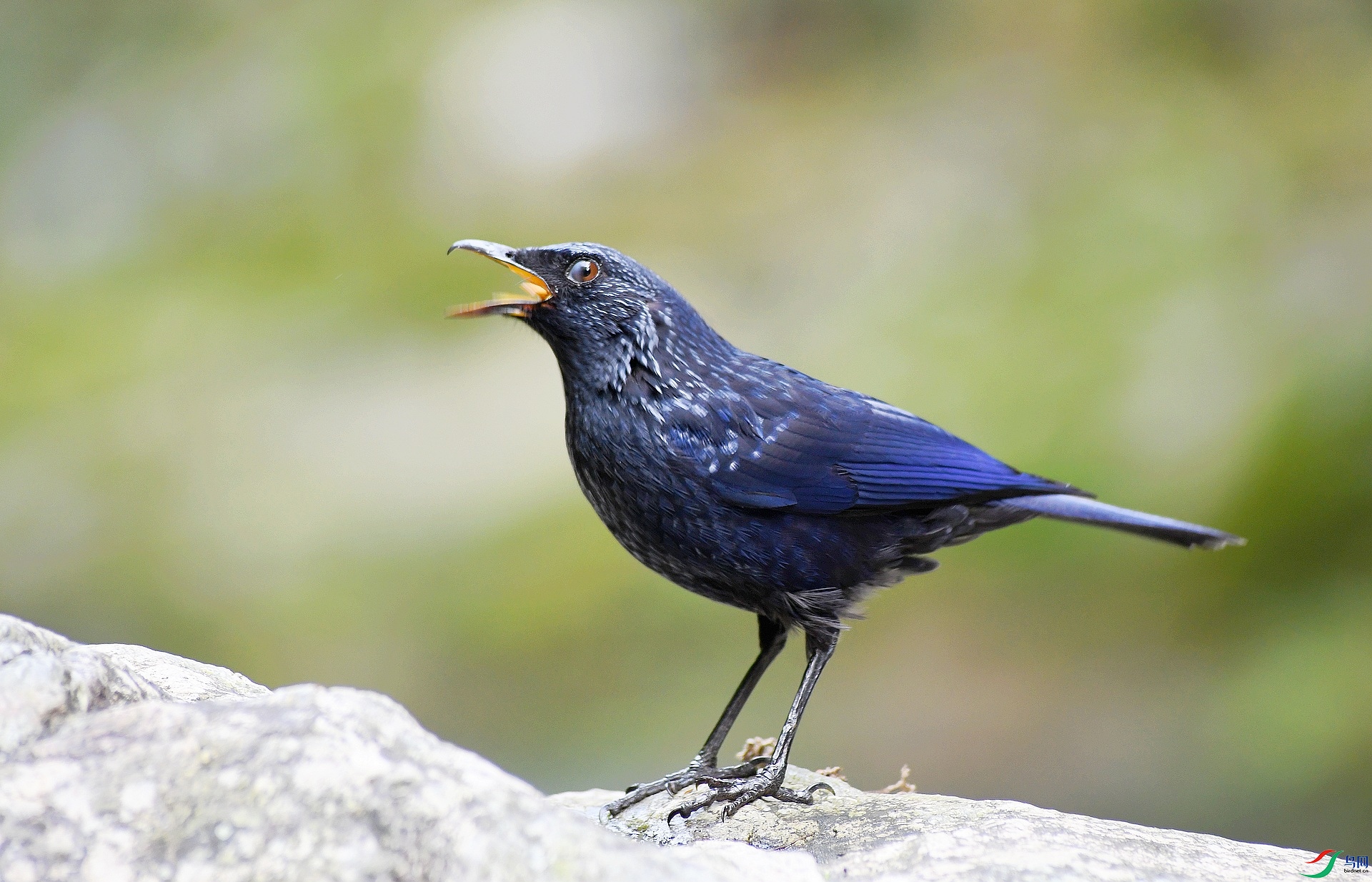 DSC_1341.jpg