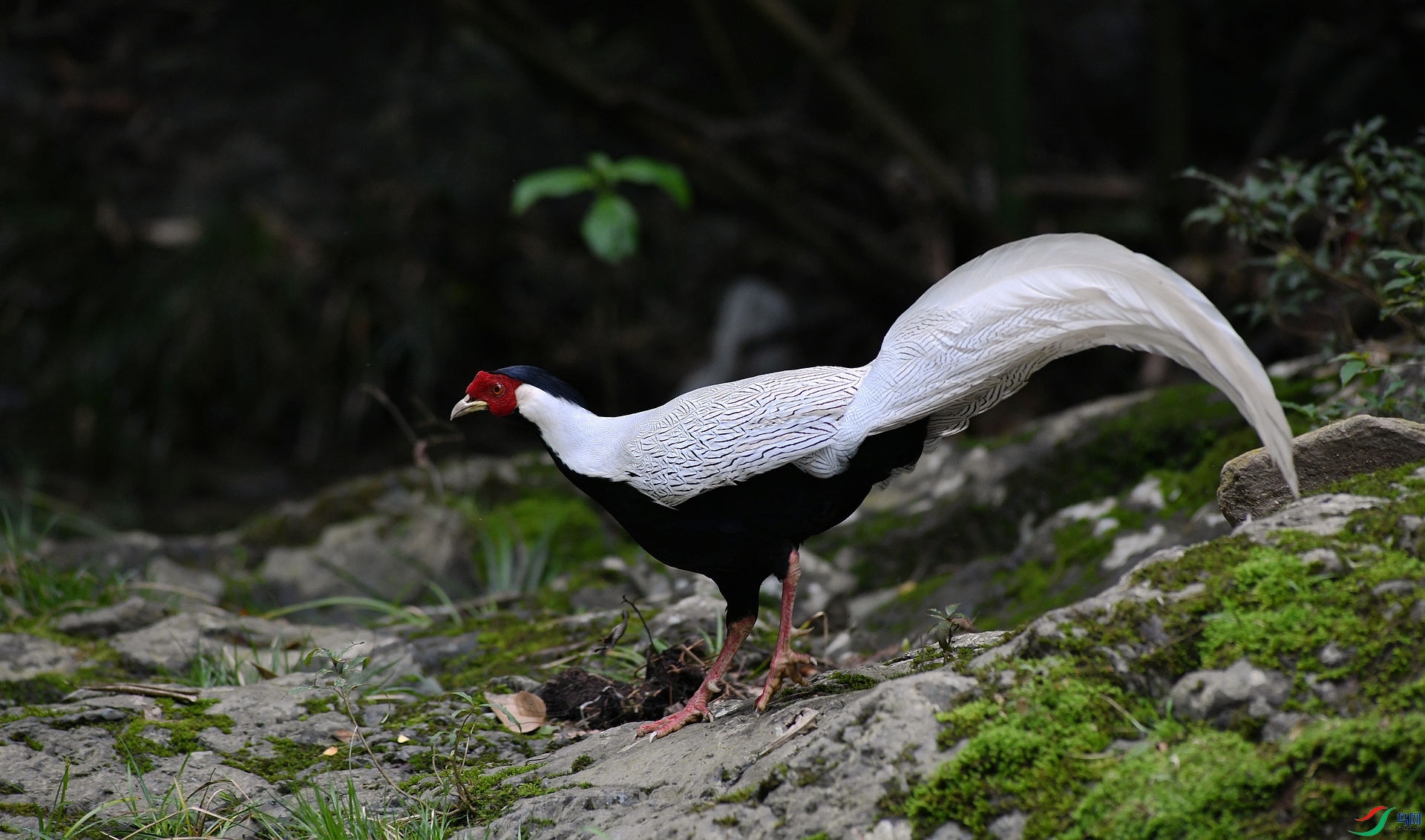 DSC_1404.jpg