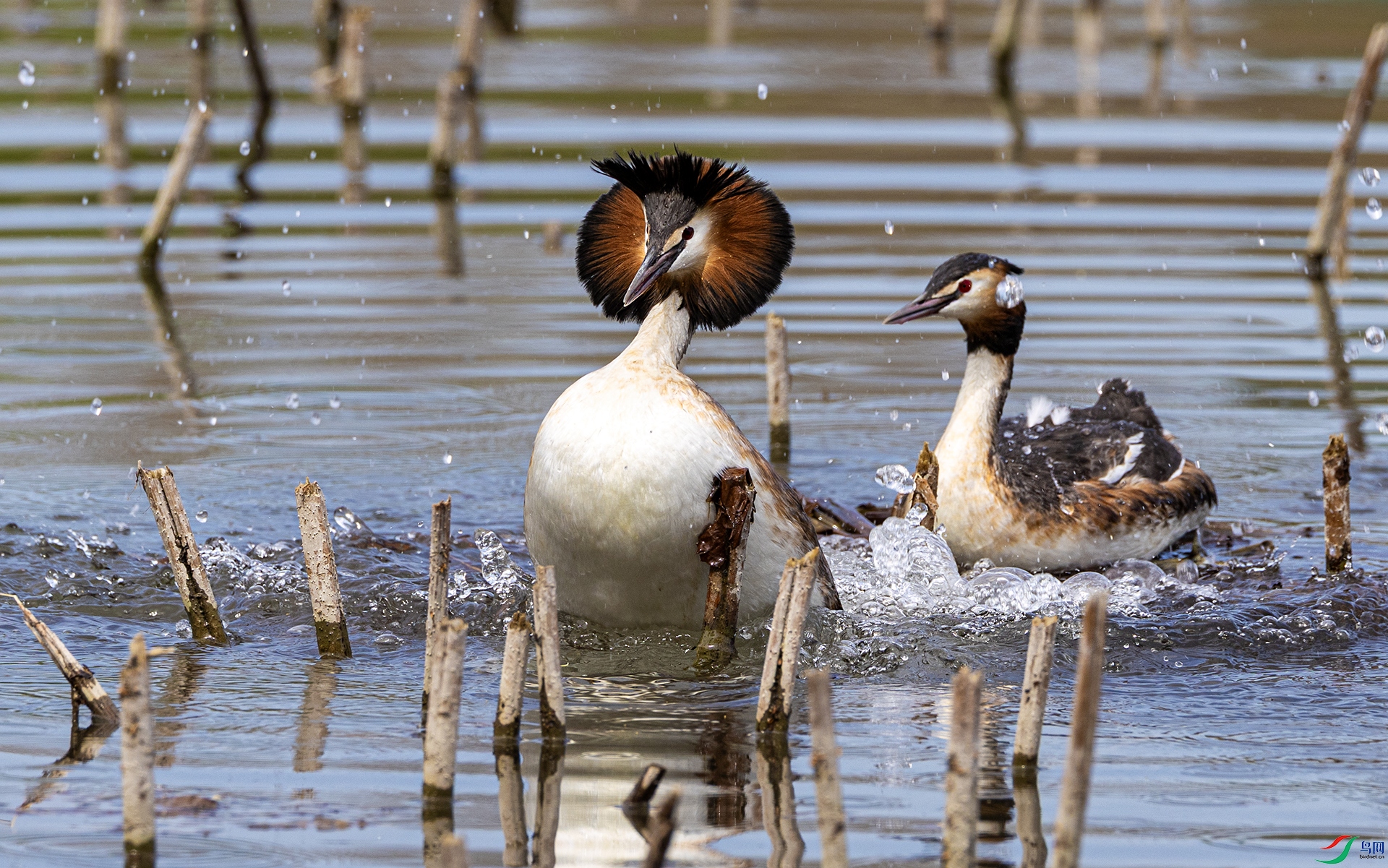 1G9A9127 ����.jpg