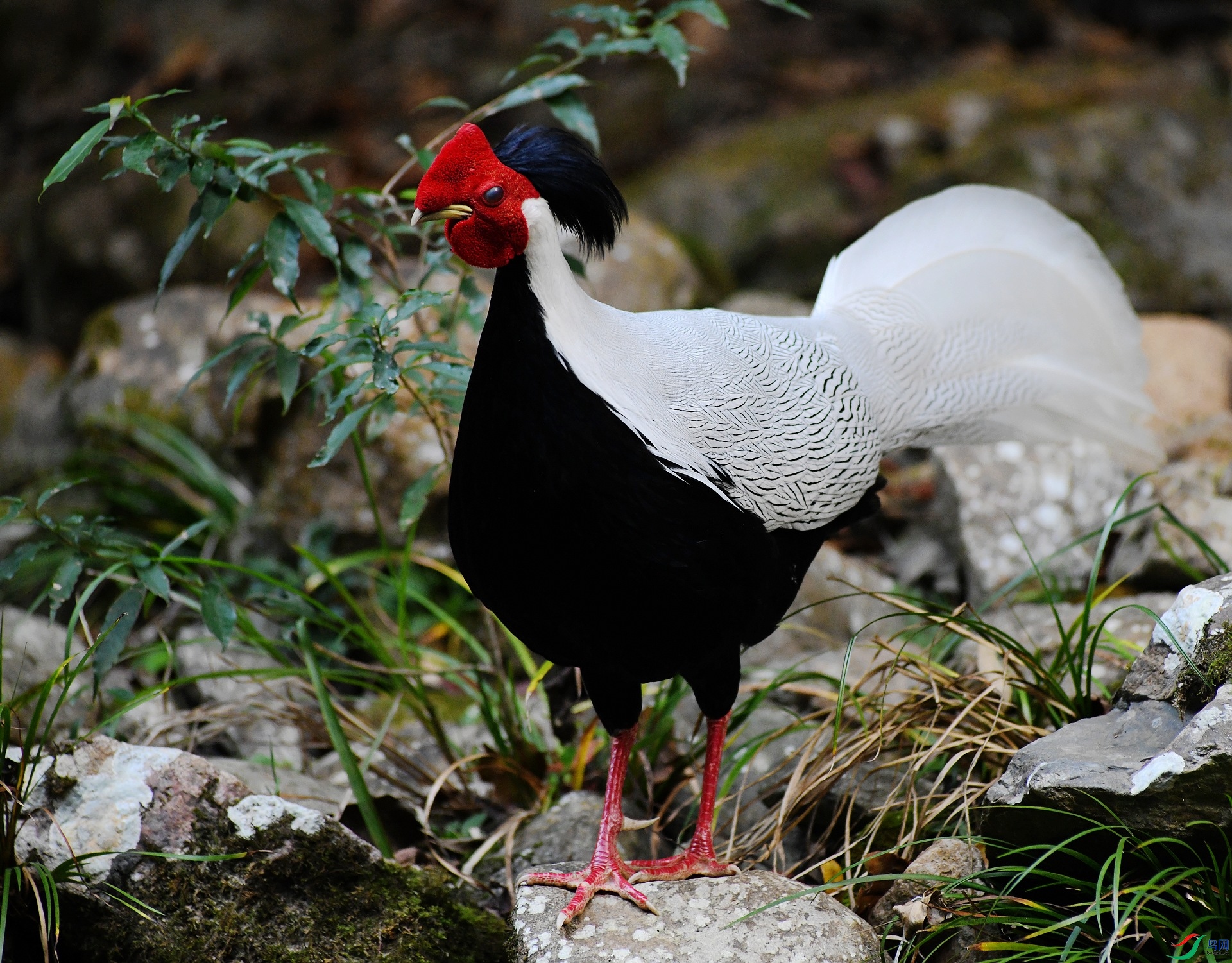 DSC_8929.jpg