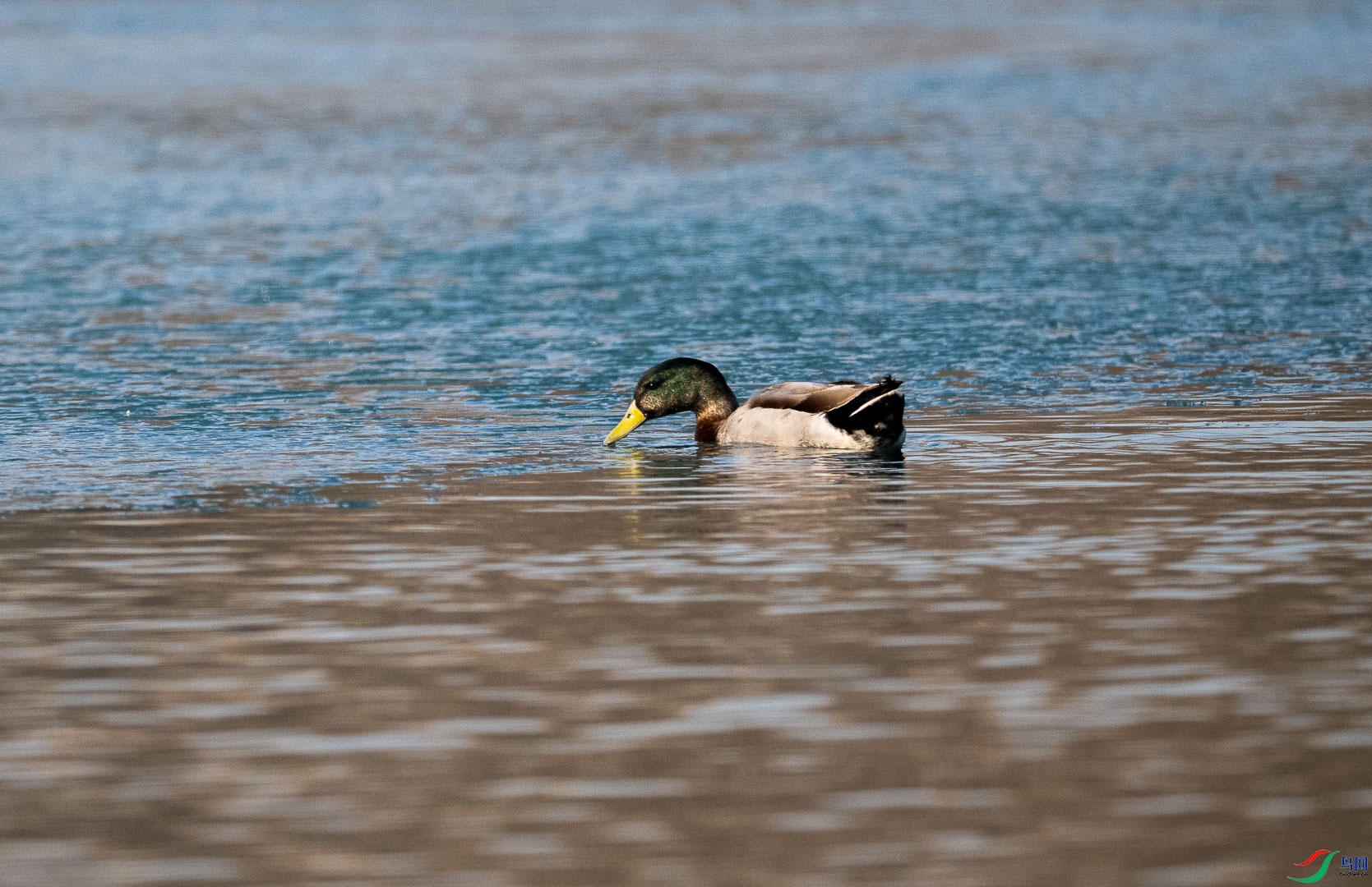 DSC_1097.jpg