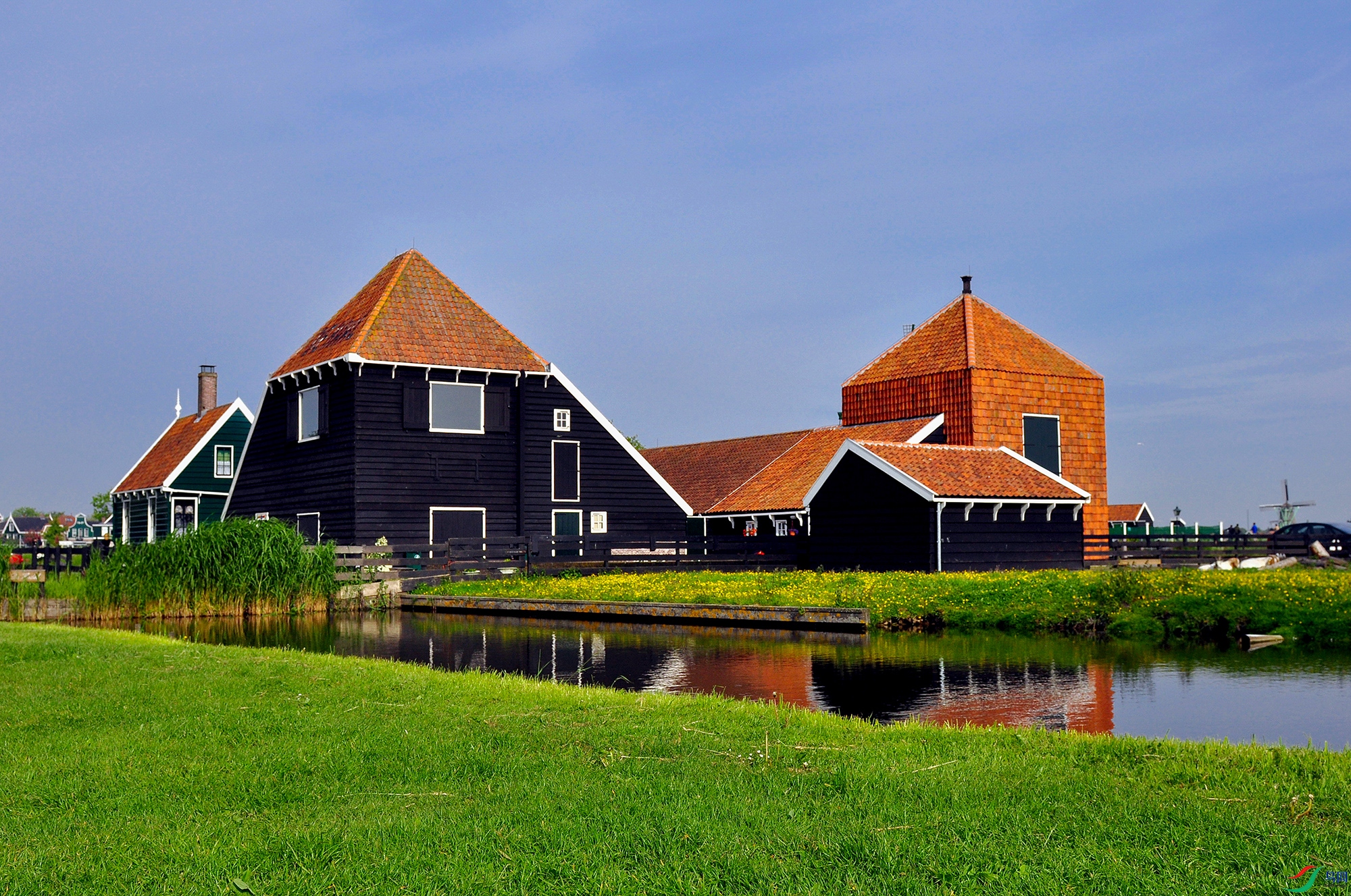 DSC_10.jpg