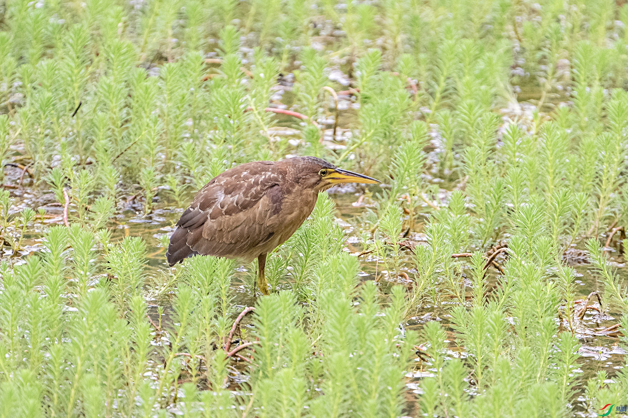 DSC_4041.jpg