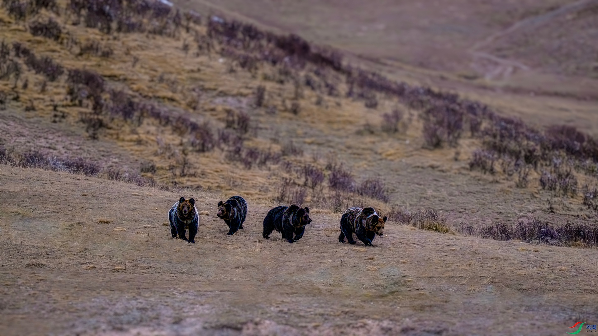 DSC_6688_����.jpg