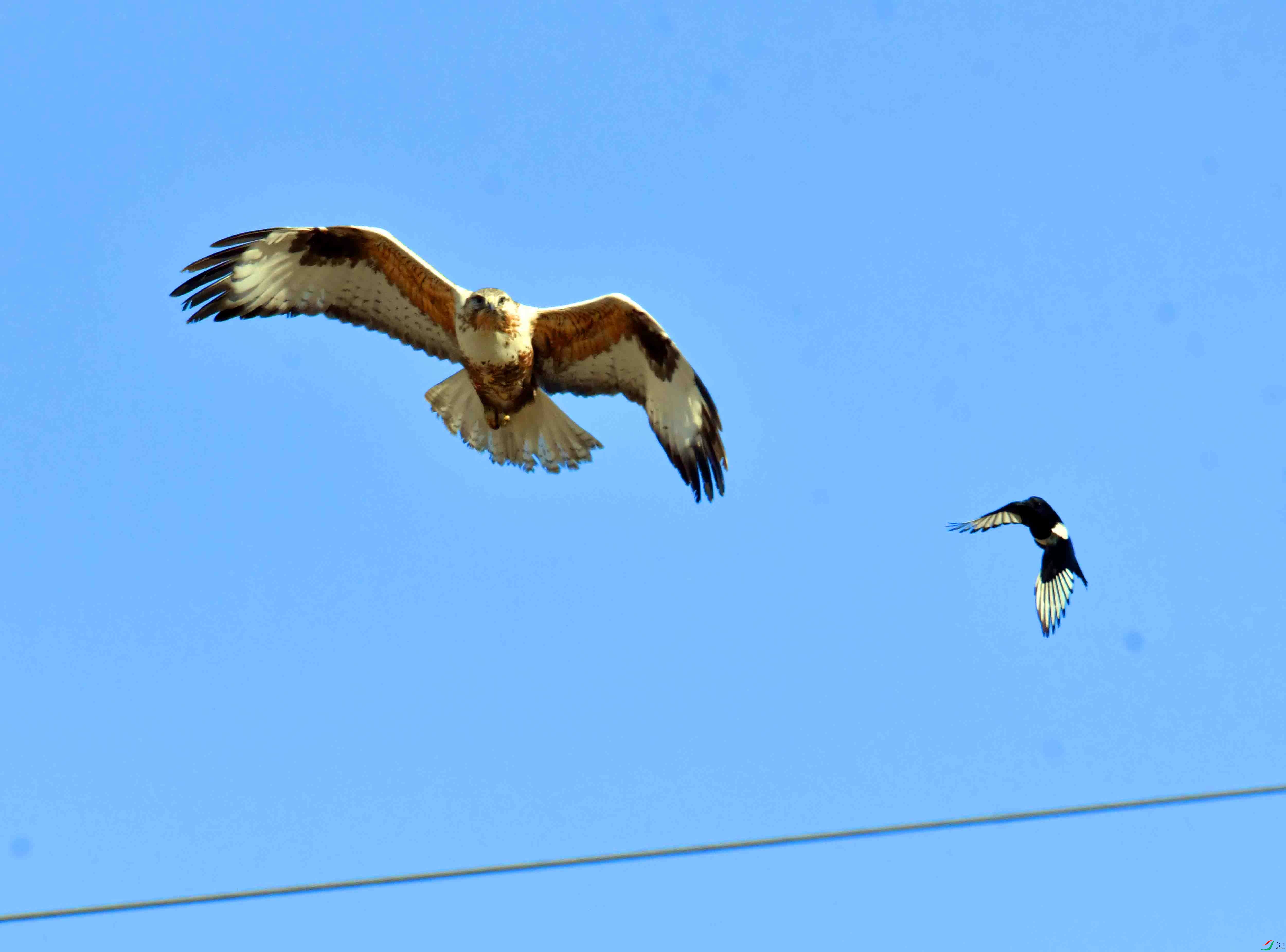 DSC_5153.JPG