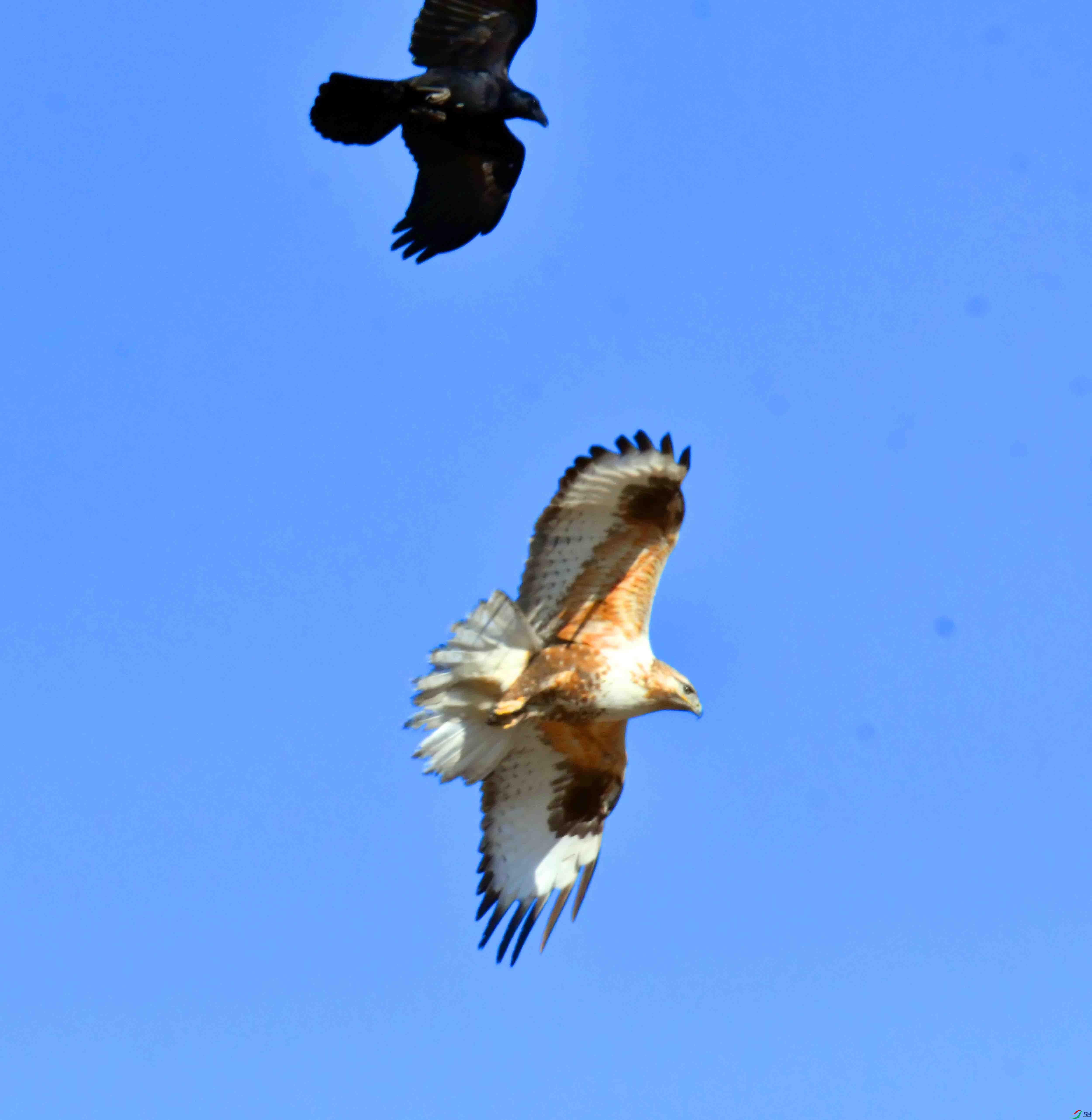 DSC_5155.JPG