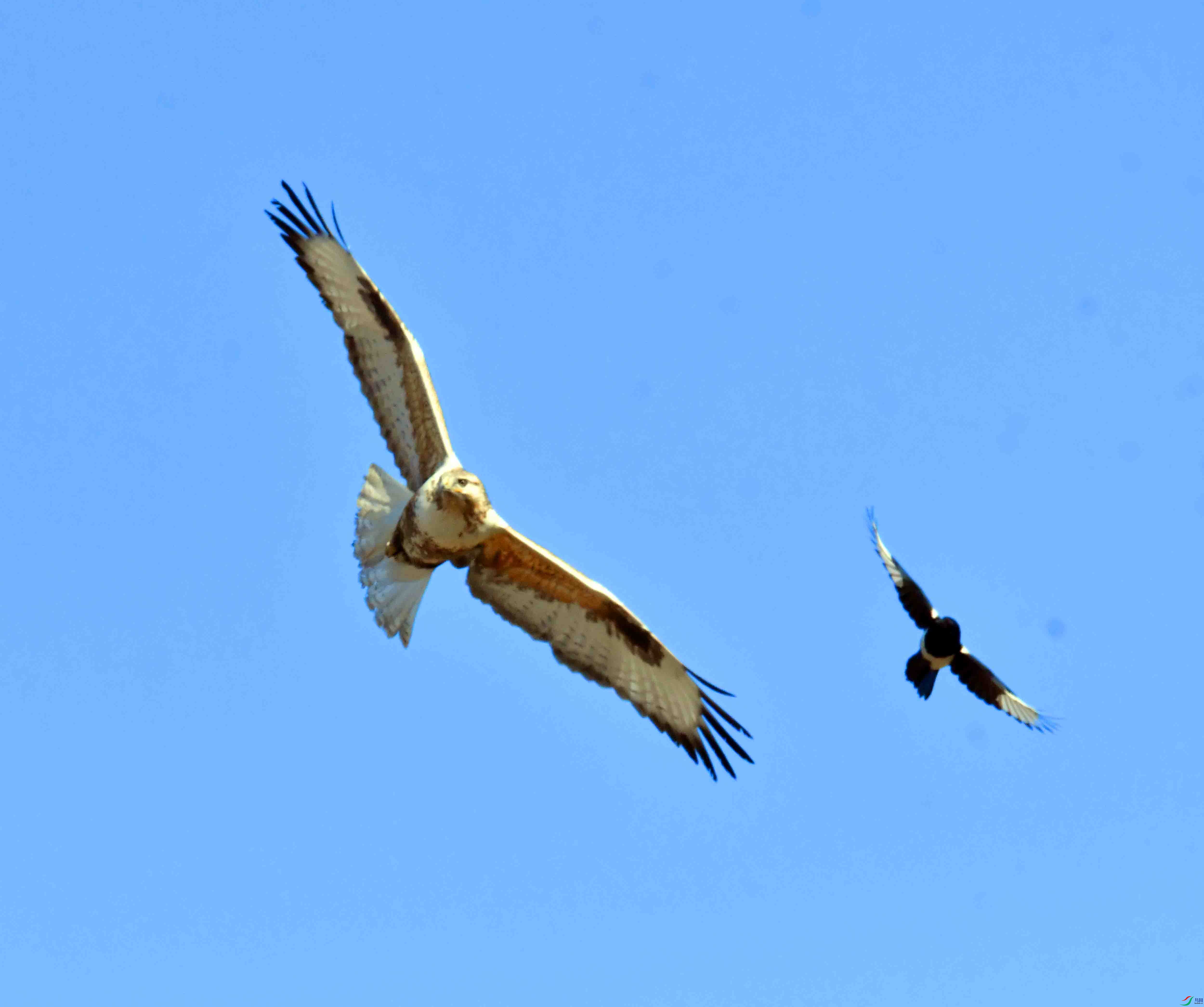 DSC_5167.JPG