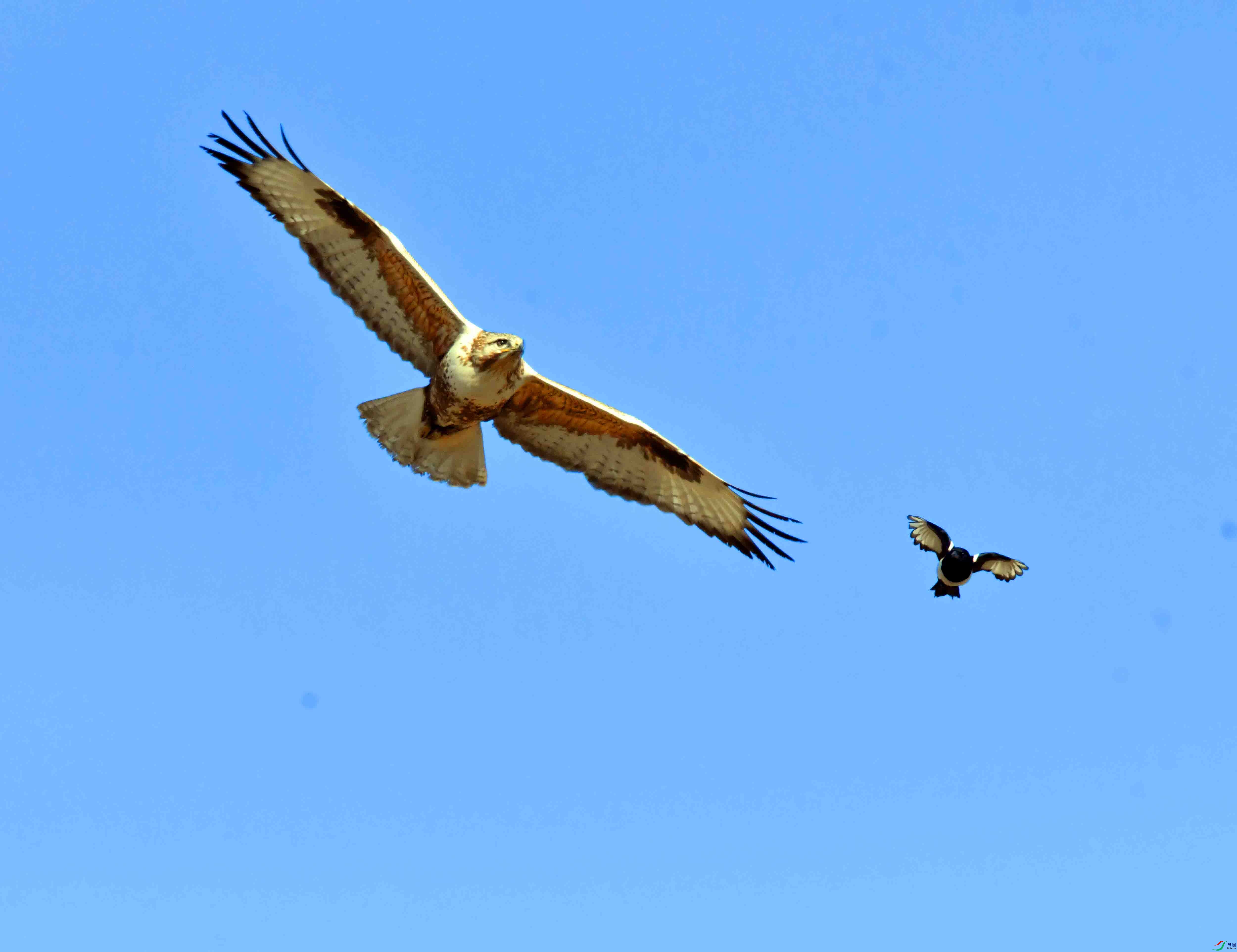 DSC_5185.JPG