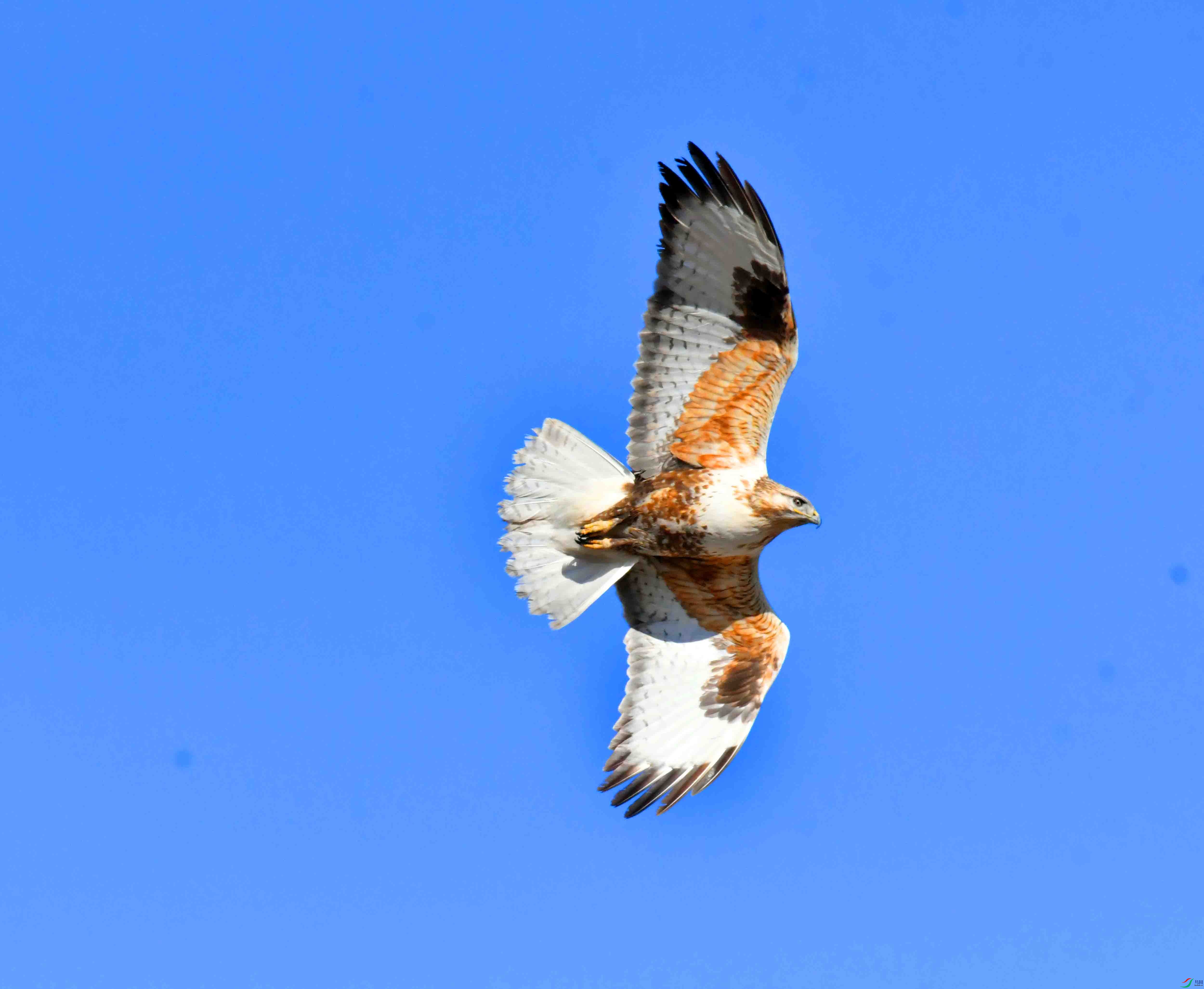 DSC_5188.JPG