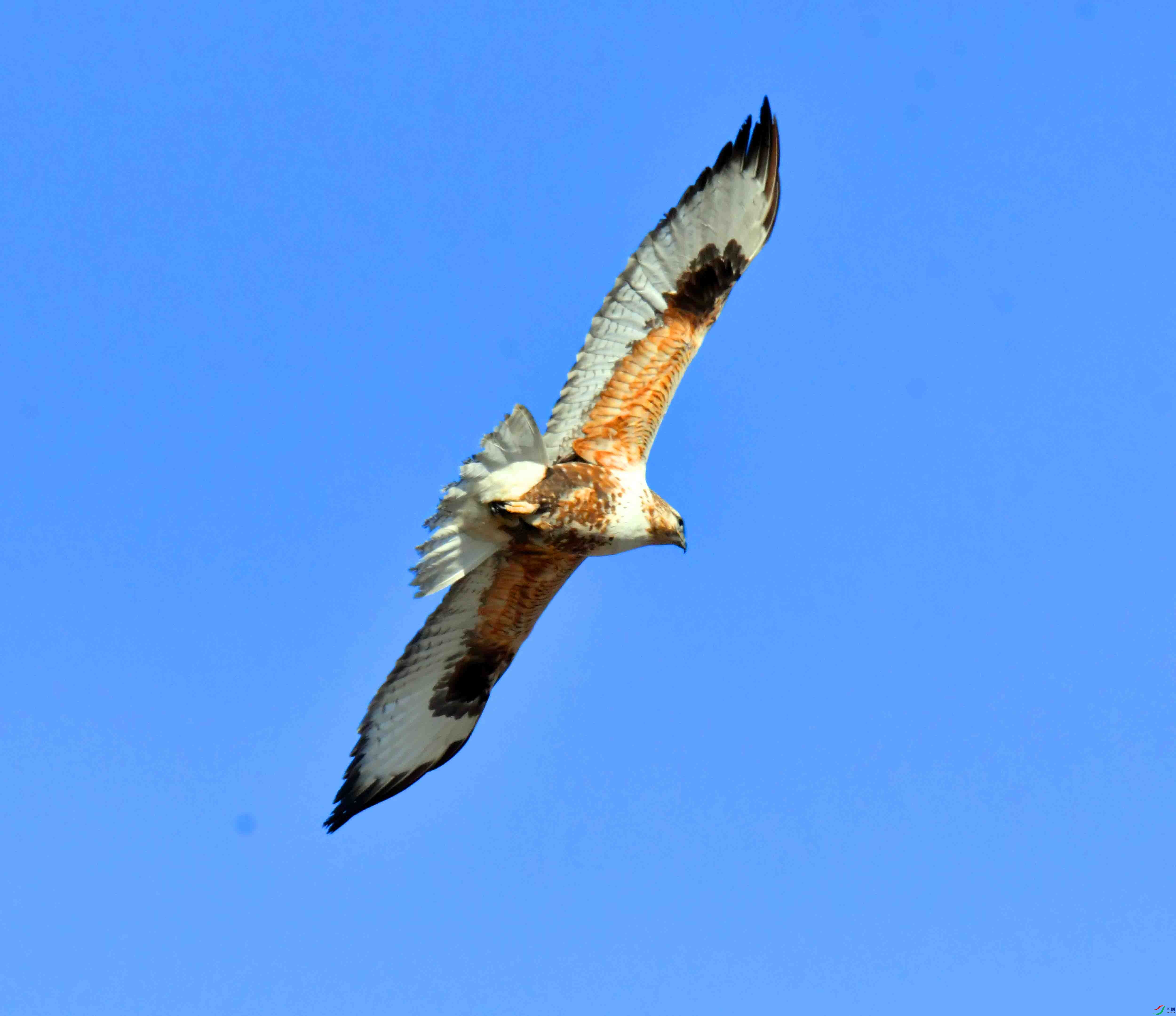 DSC_5189.JPG