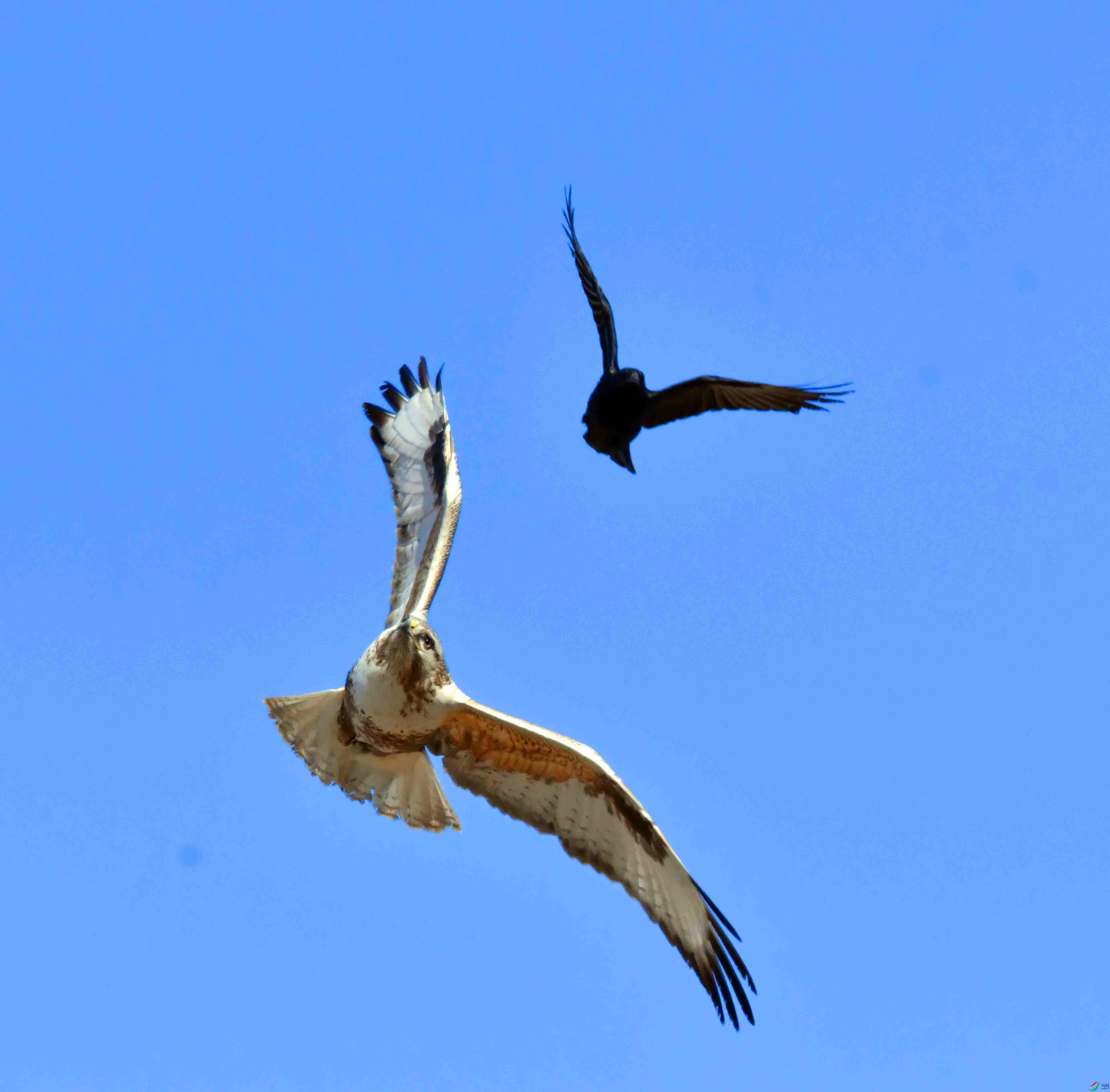 DSC_5197.JPG
