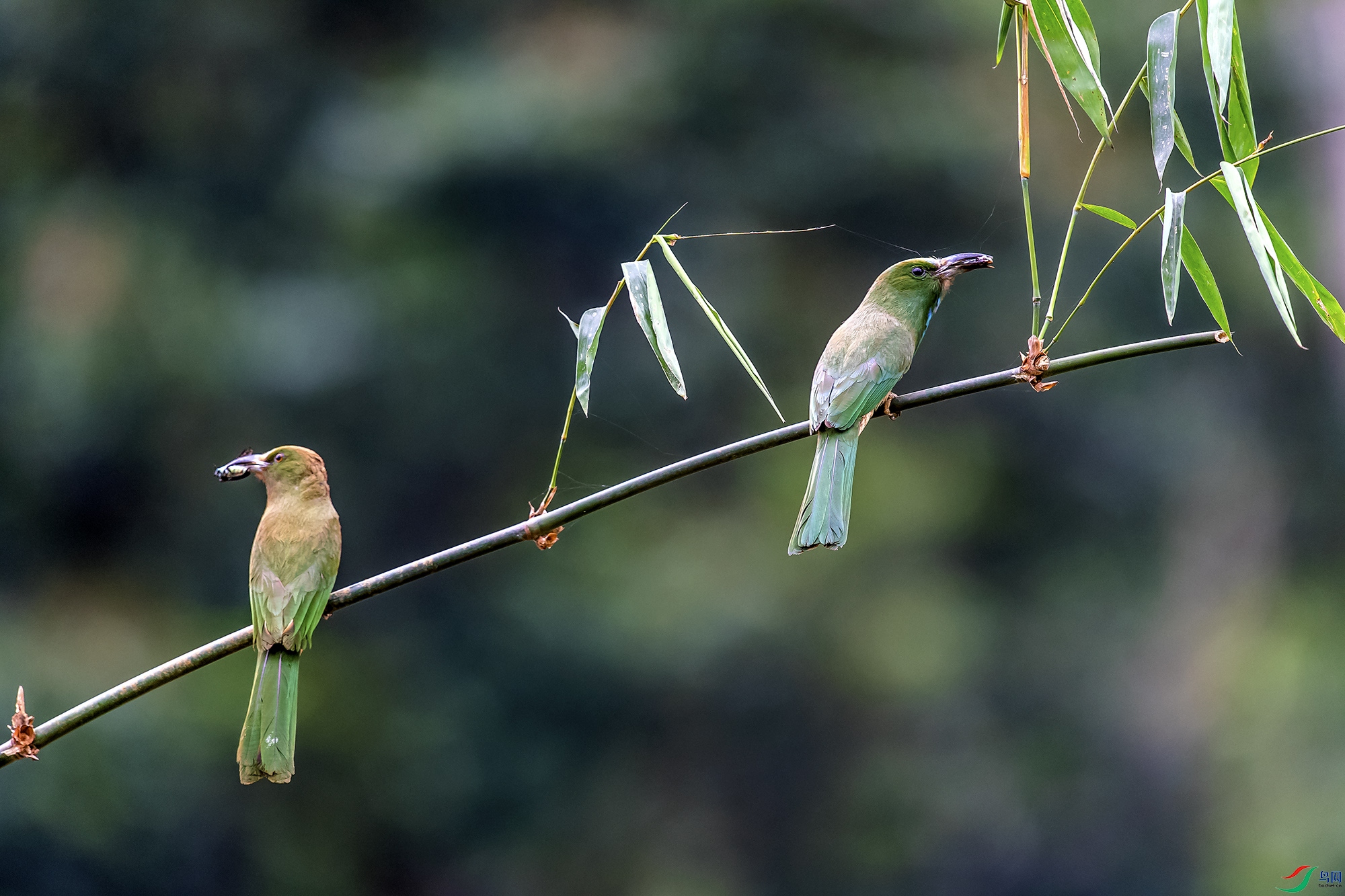 DSC_6877.jpg