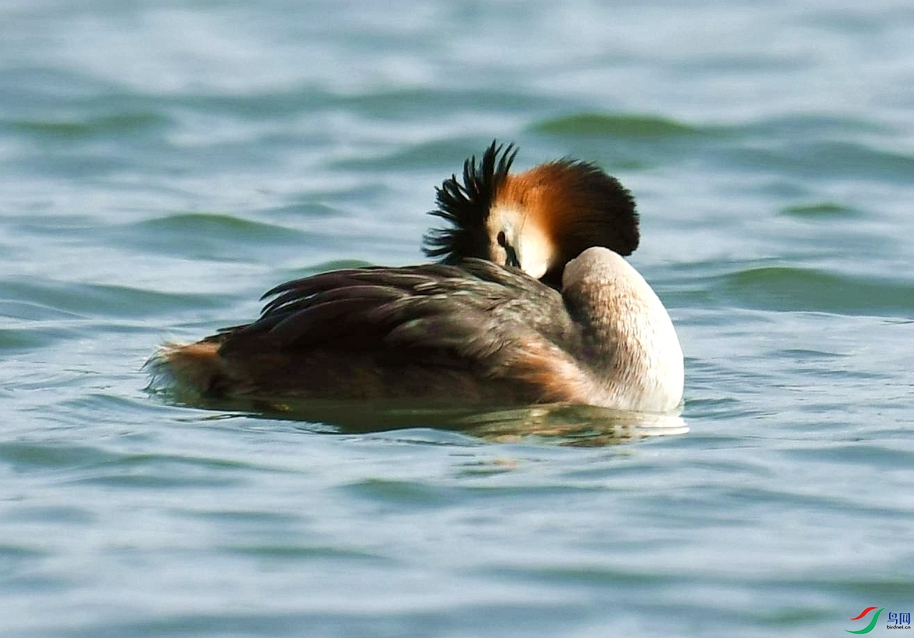 DSC_4249_����.jpg