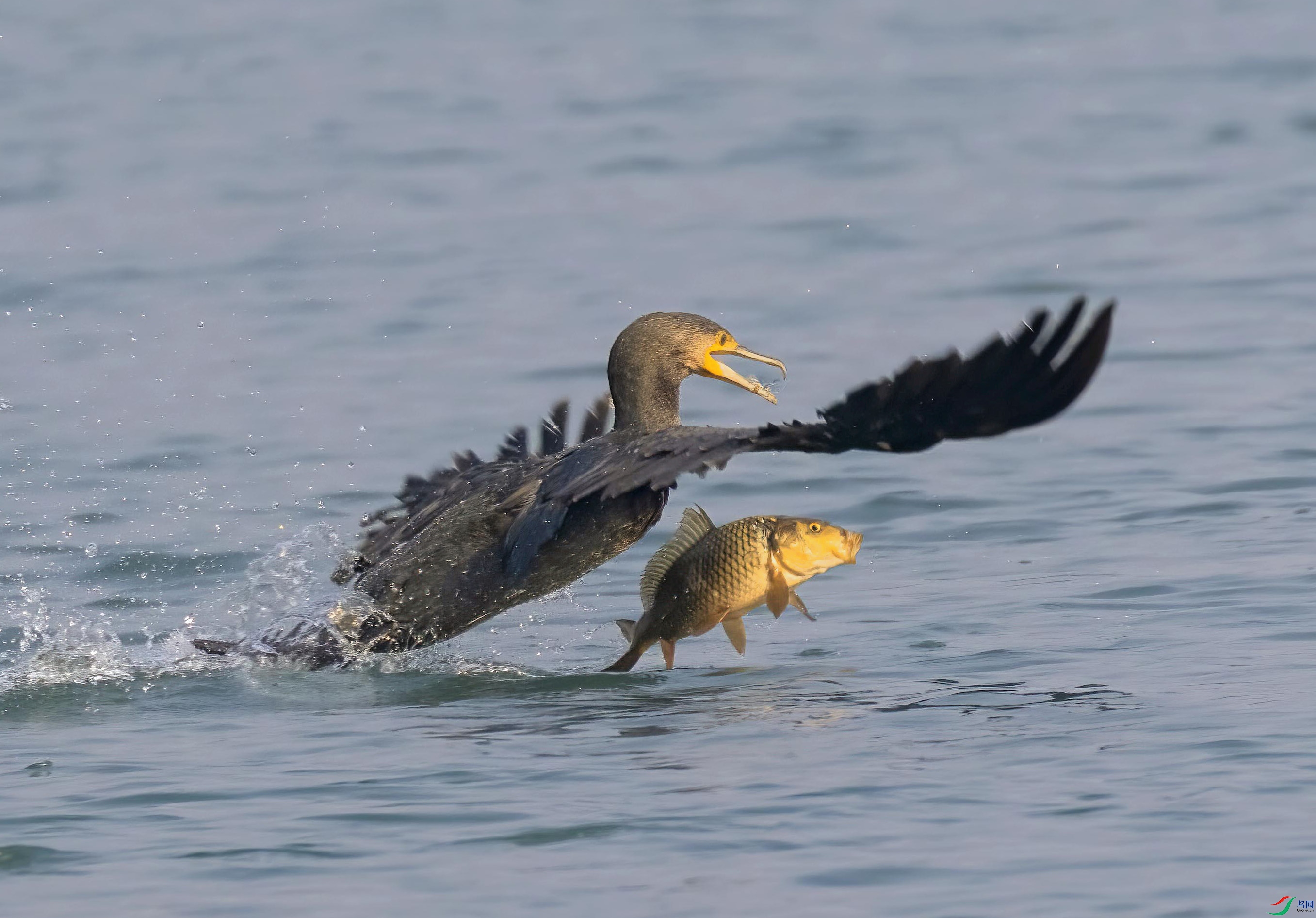 C87A2370 ���� 2.jpg