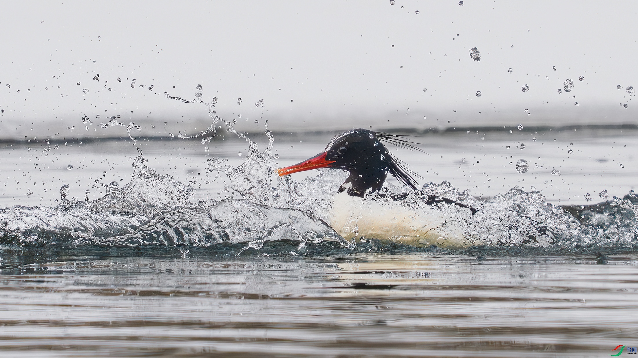 _DSC9549 ����.jpg