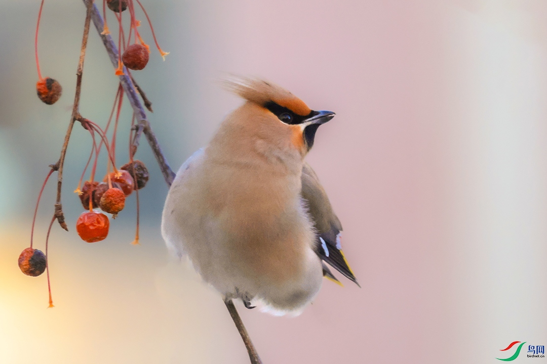 2026-1 (43)-1 ����.jpg