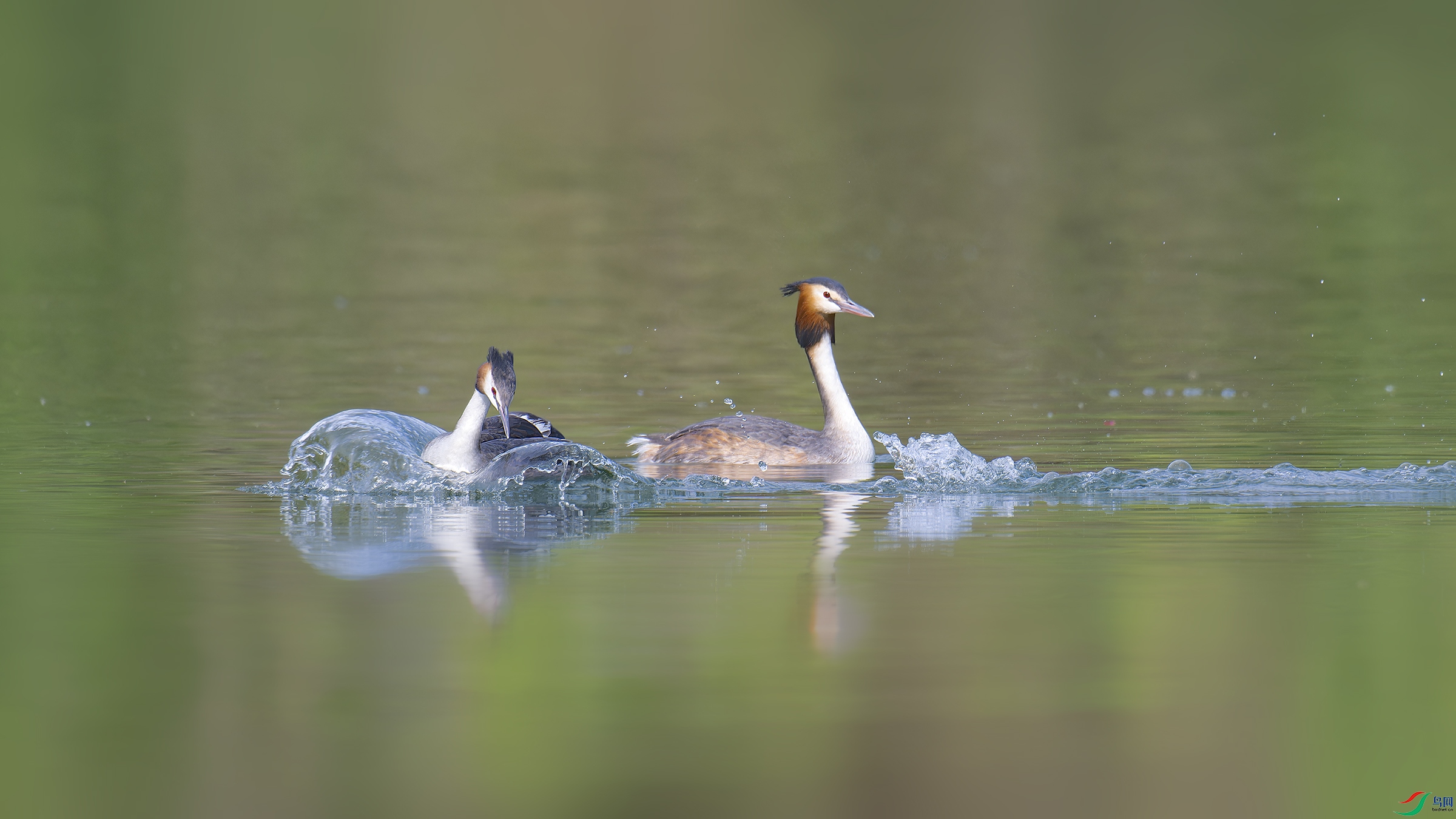 DSC_4981_DxO.jpg