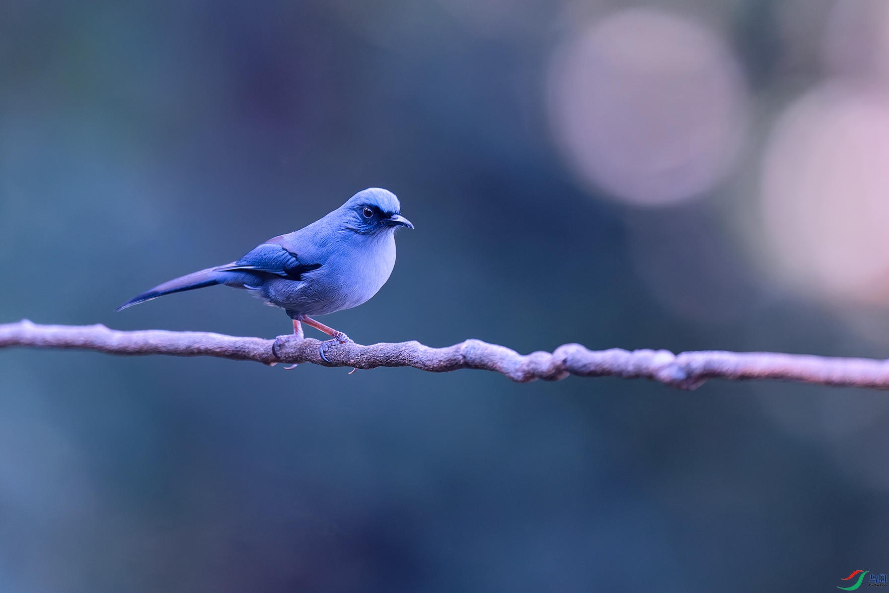 DSC_4221_DxO_DxOa.jpg