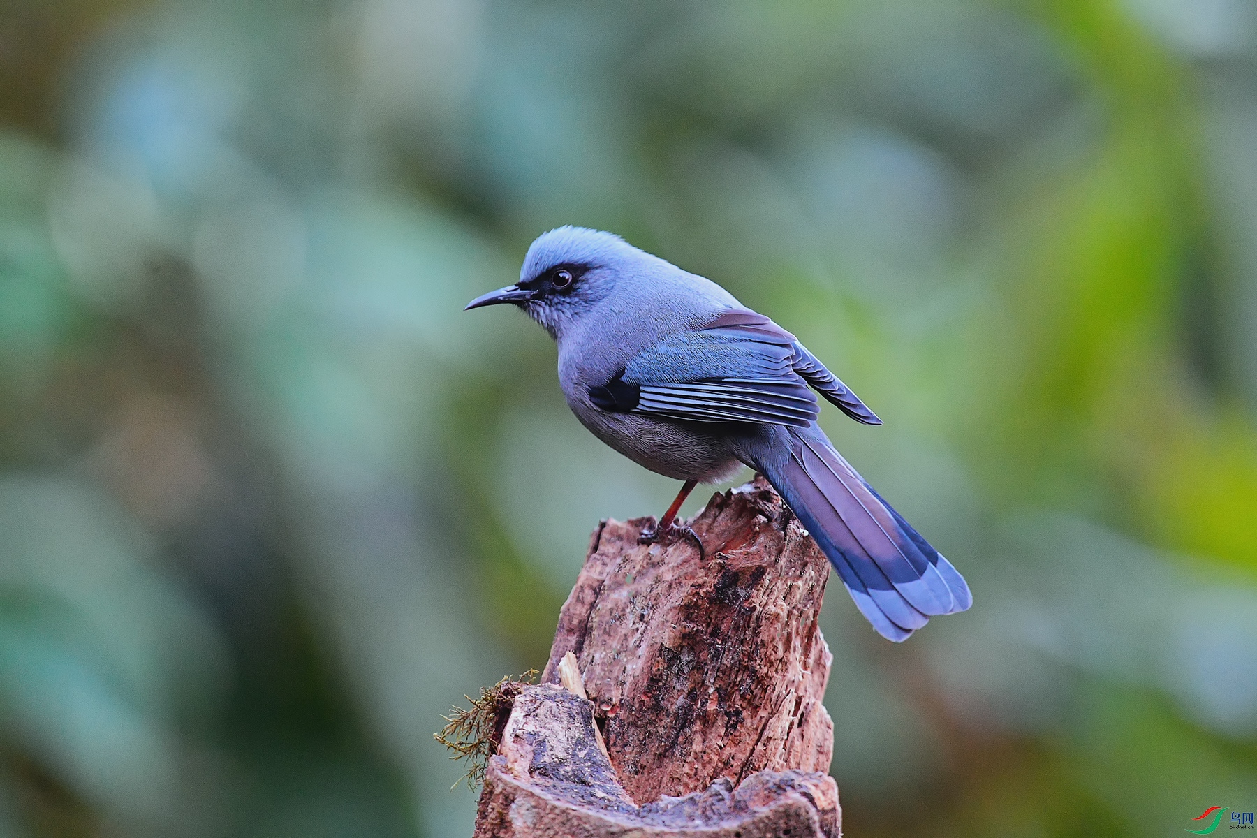 3DSC_9269_DxO_DxOa.jpg