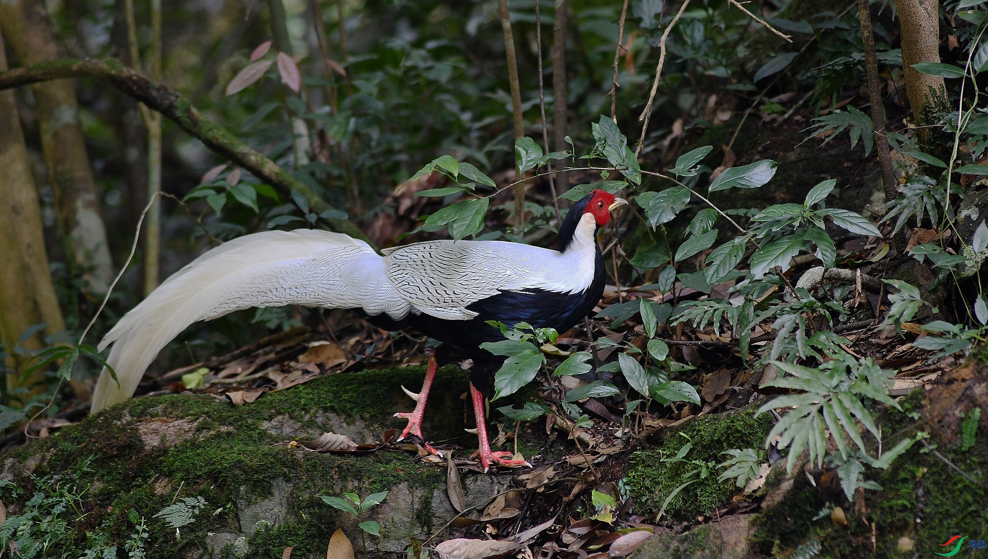 DSC_0889.jpg